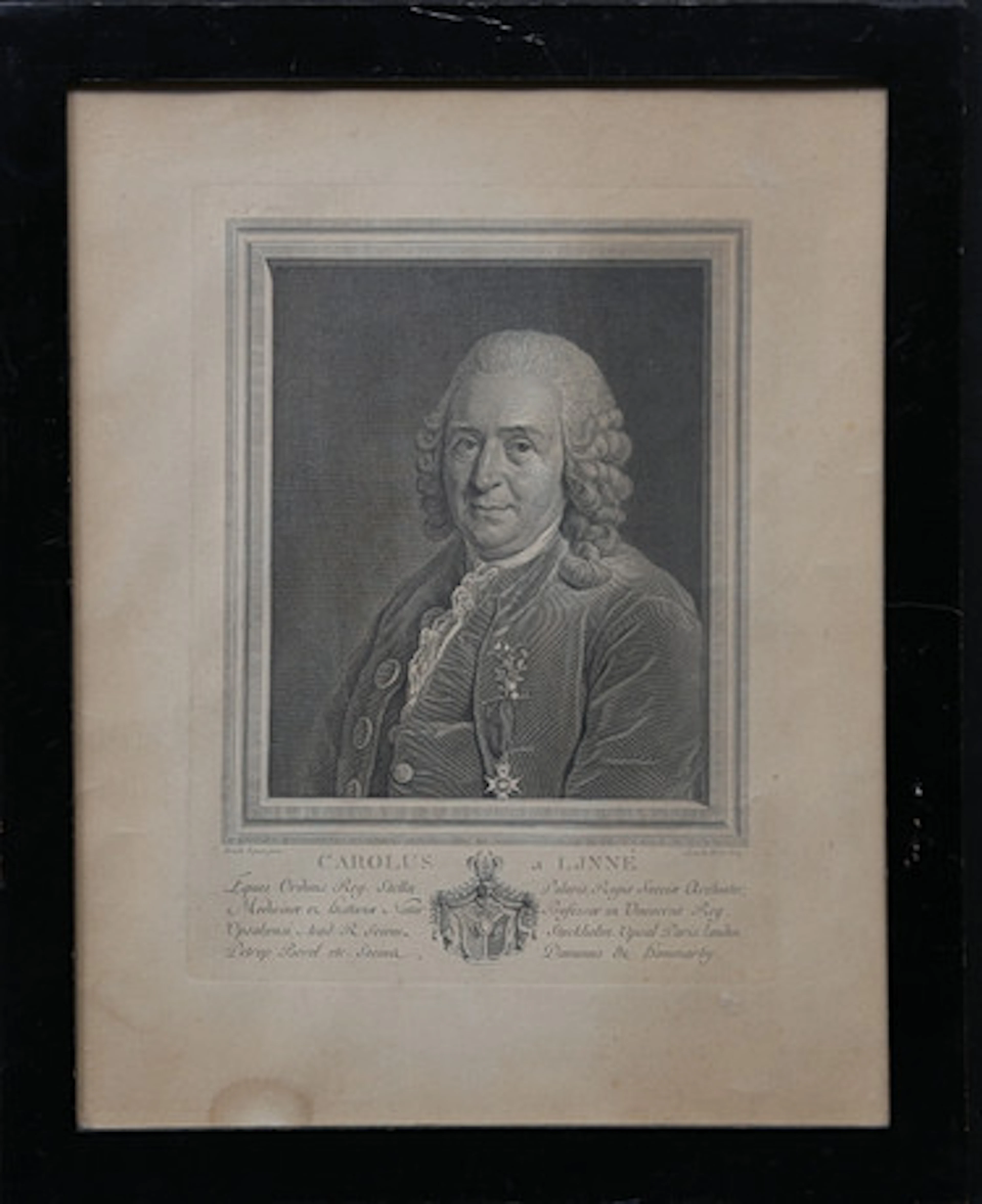 ALEXANDER ROSLIN. Efter. "Carl von Linne".…