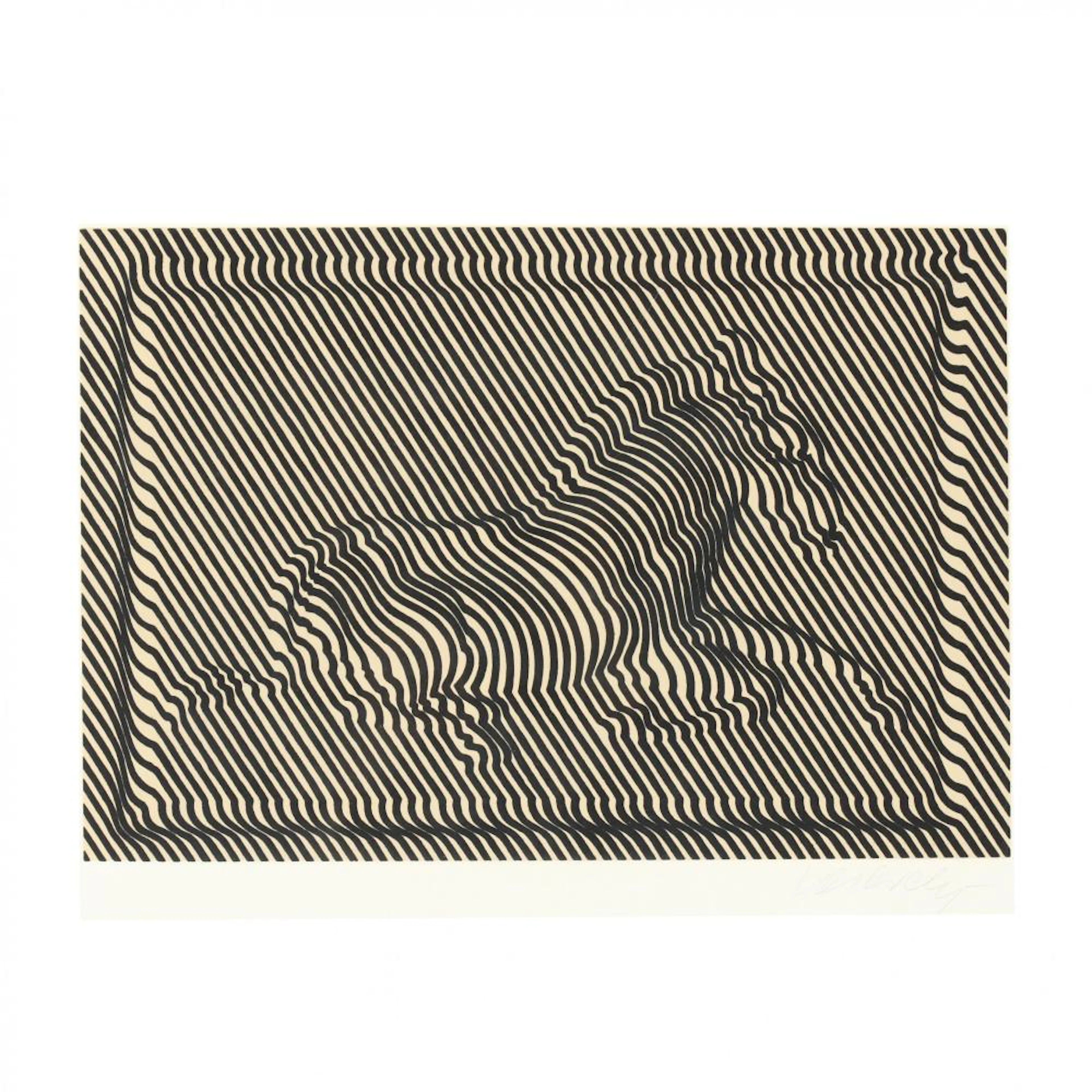 Victor Vasarely (French/Hungarian, 1906?1997), Zebre