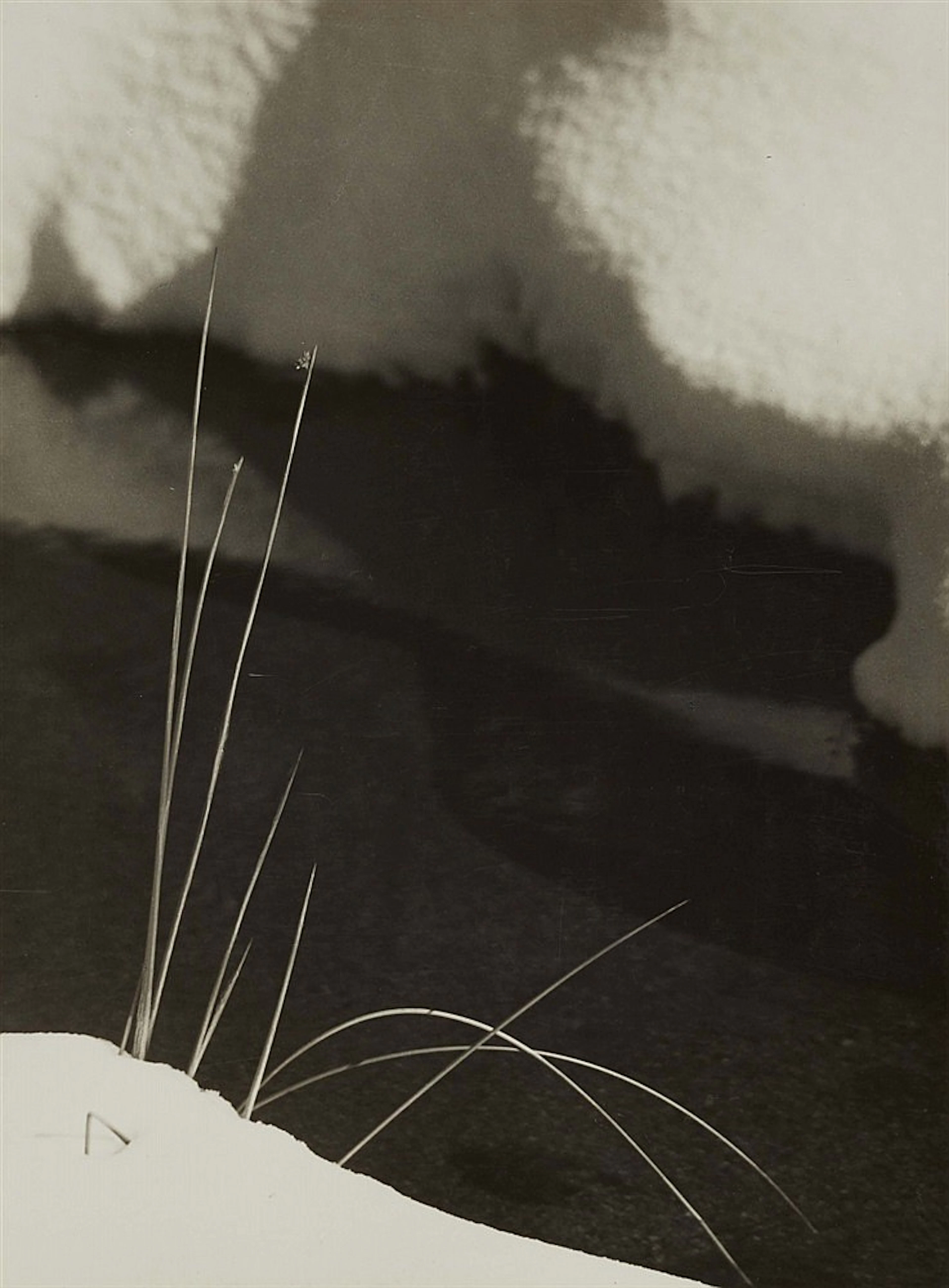 Albert Renger-Patzsch, Binsen am verschneiten Bach, 1930s