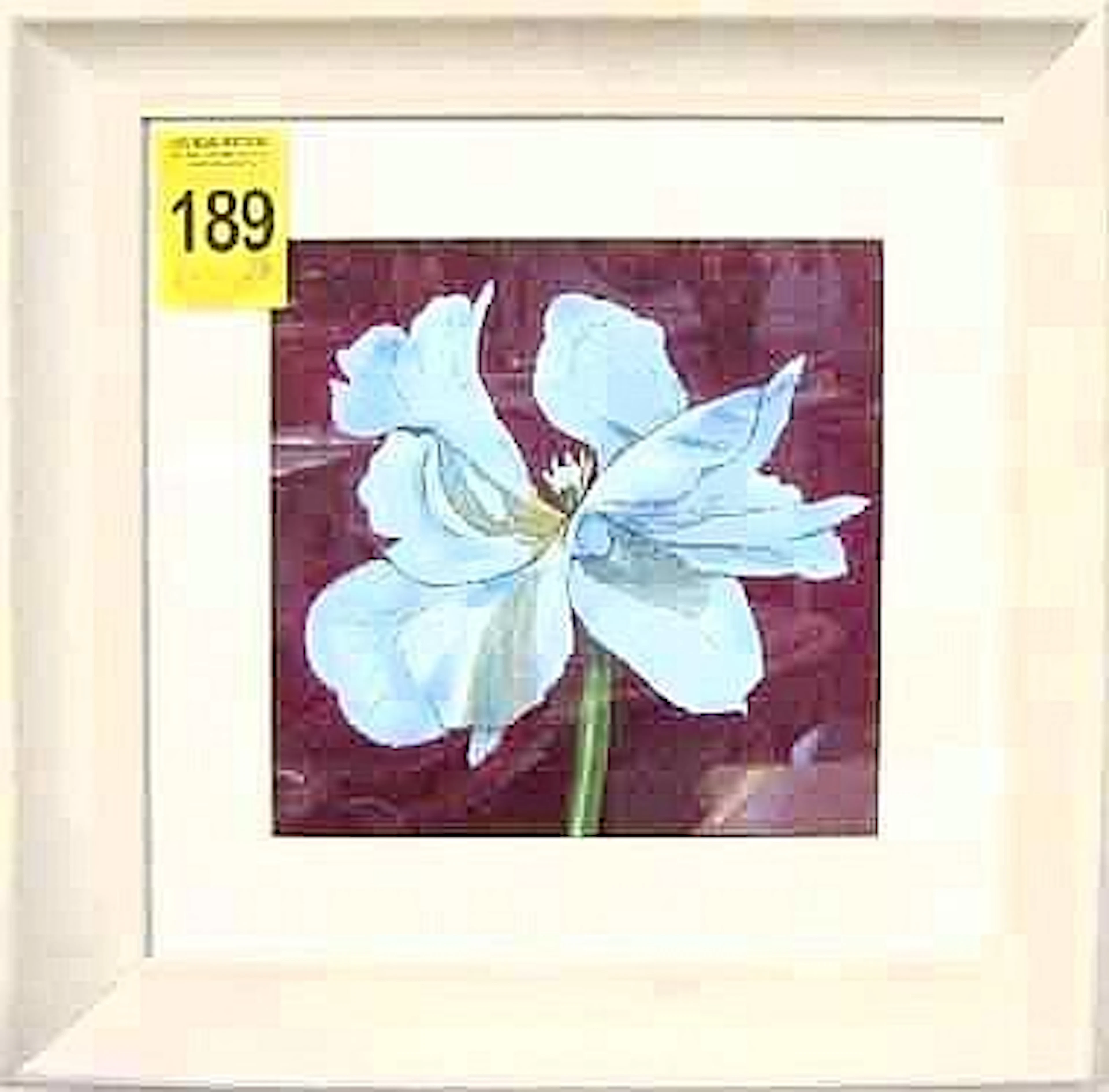 PRINTS, a set of four, botanical studies, Art Deco design, 43cm x 43cm. (4)