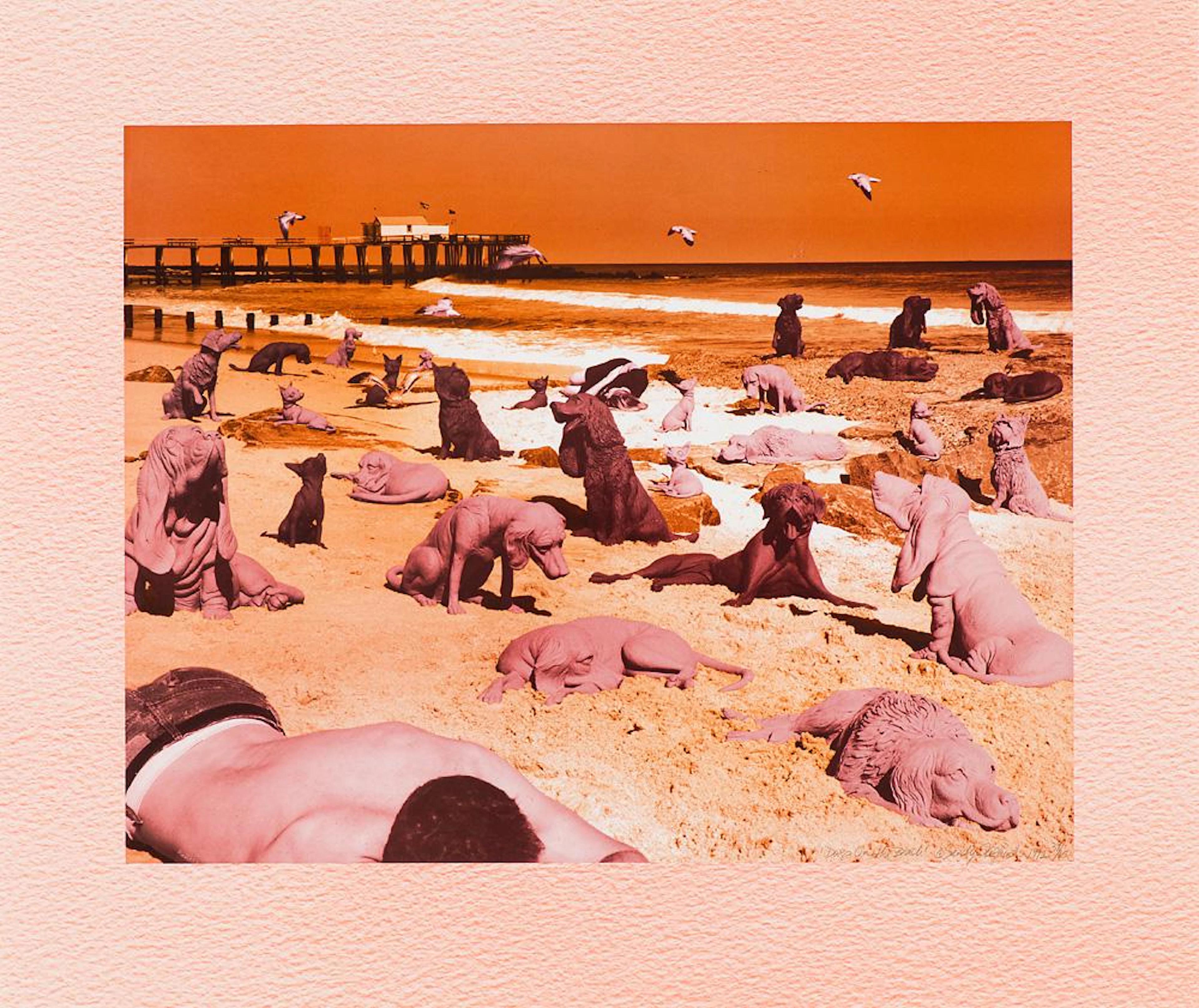 Sandy Skoglund Dogs on the Beach