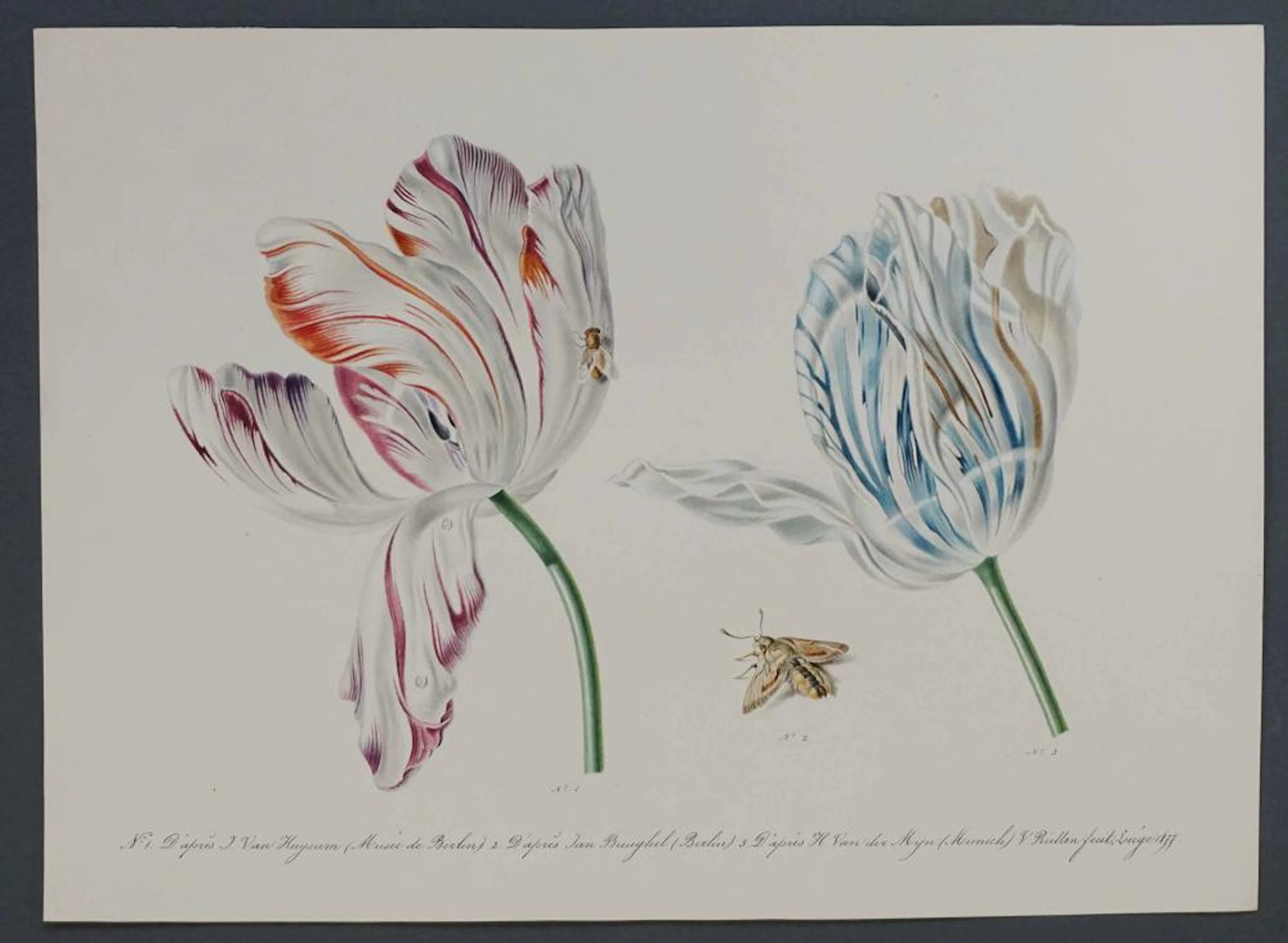 RUTTEN Victor - Aquarelle "Fleurs et insectes" d'après J. van Huysum, Ja?