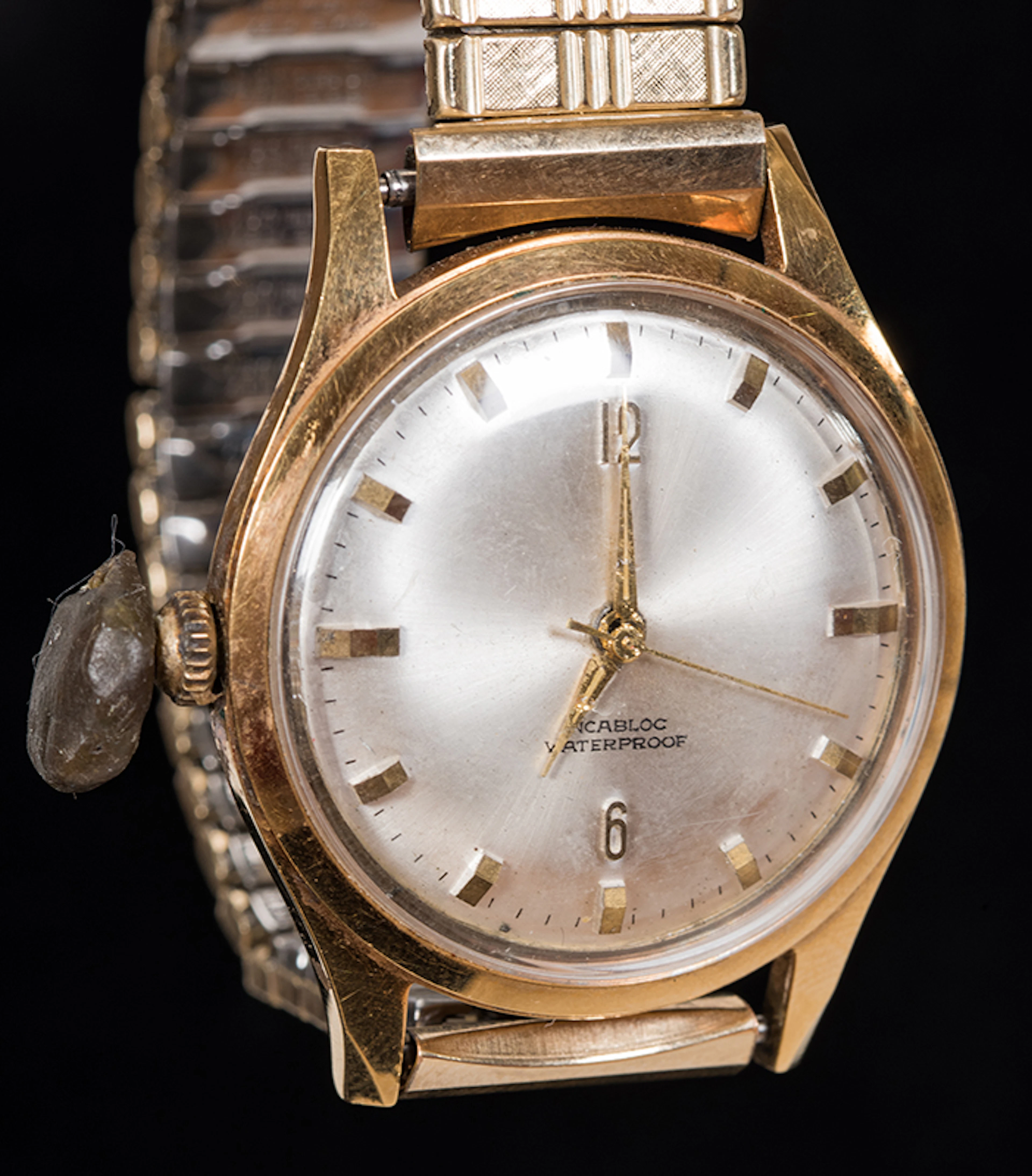 Cardini Wrist Watch Reel.