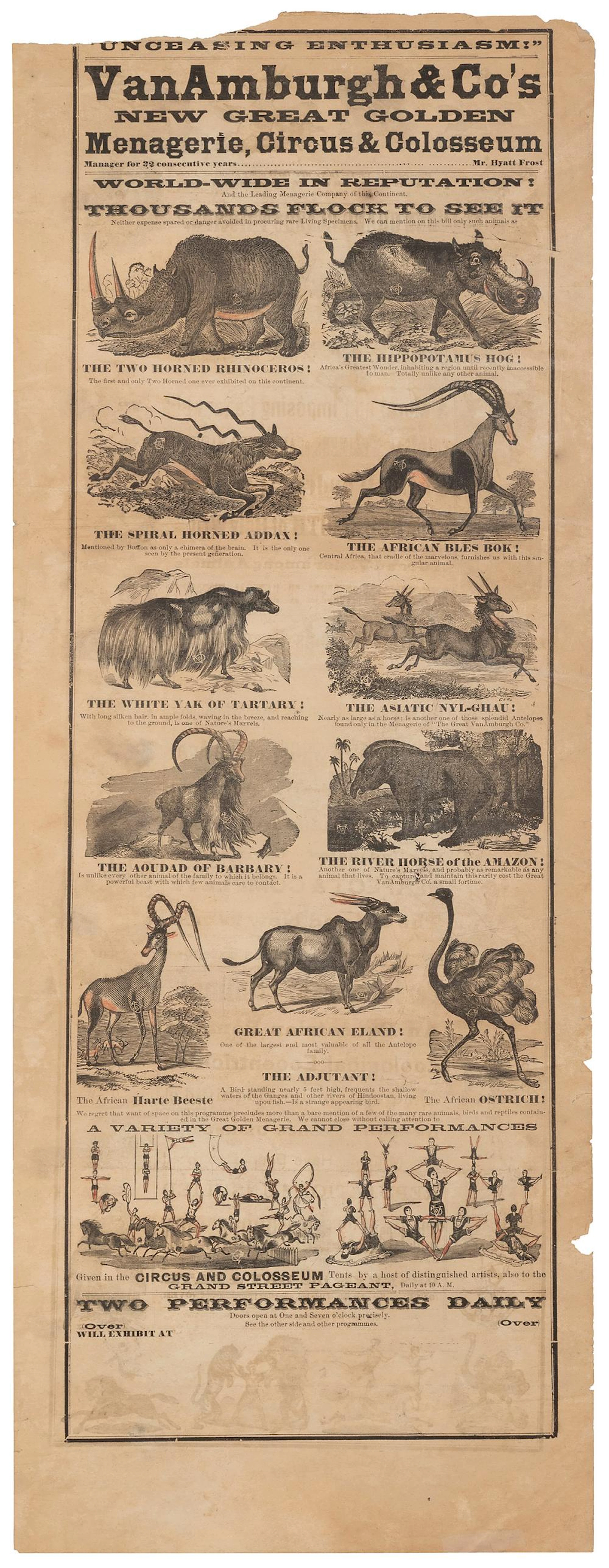 Van Amburgh & Co?s New Great Golden Menagerie, Circus, and ...