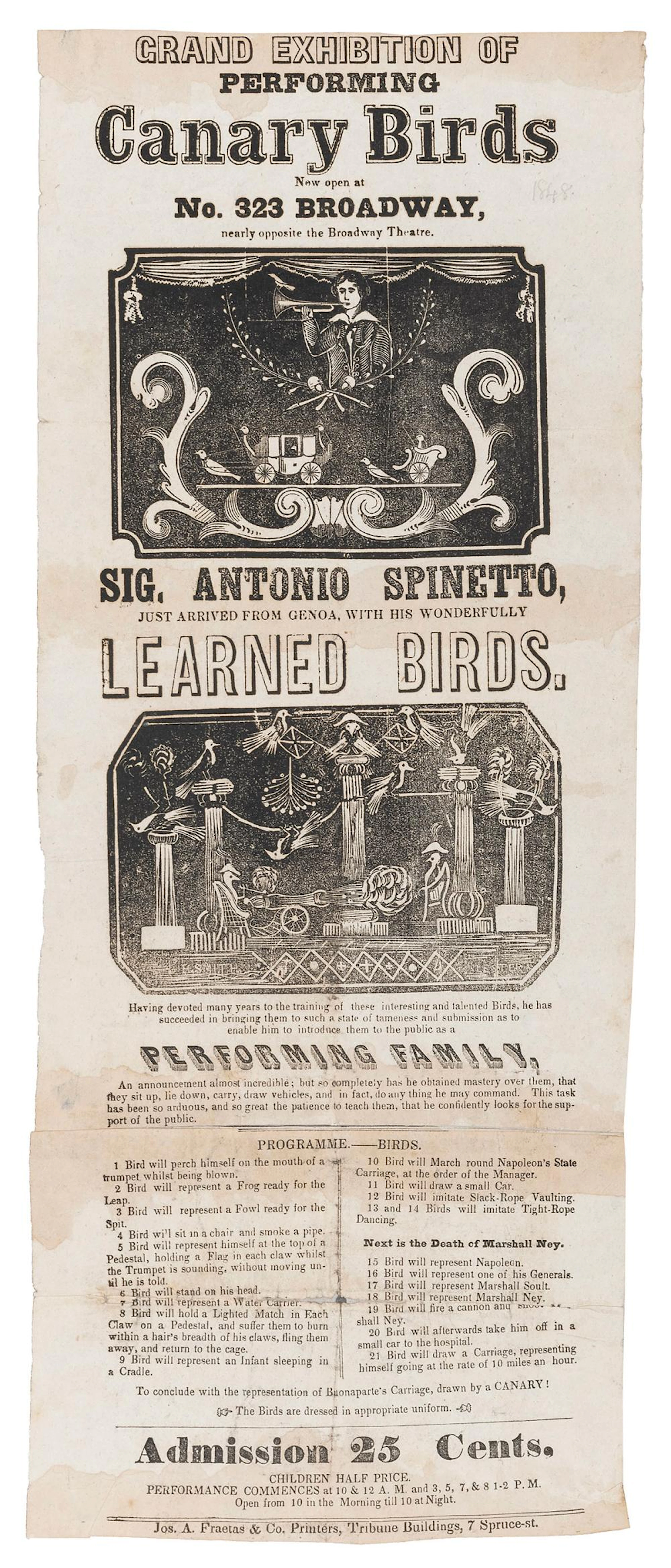 SPINETTO, Antonio. Grand Exhibition of Performing Canary Bi...