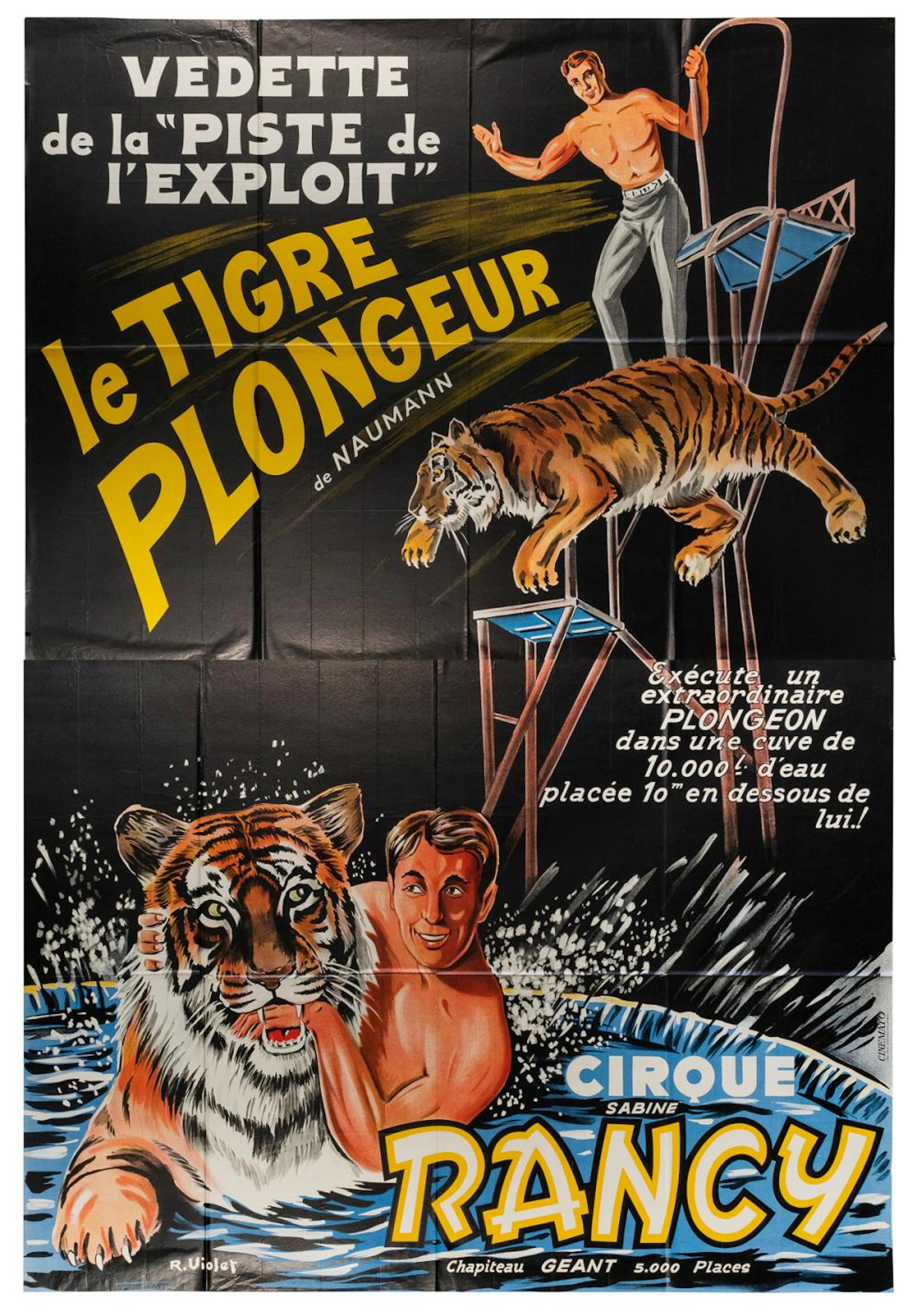 Vedette de la ?Piste de l?Exploit? le Tigre Plongeur de Nau...