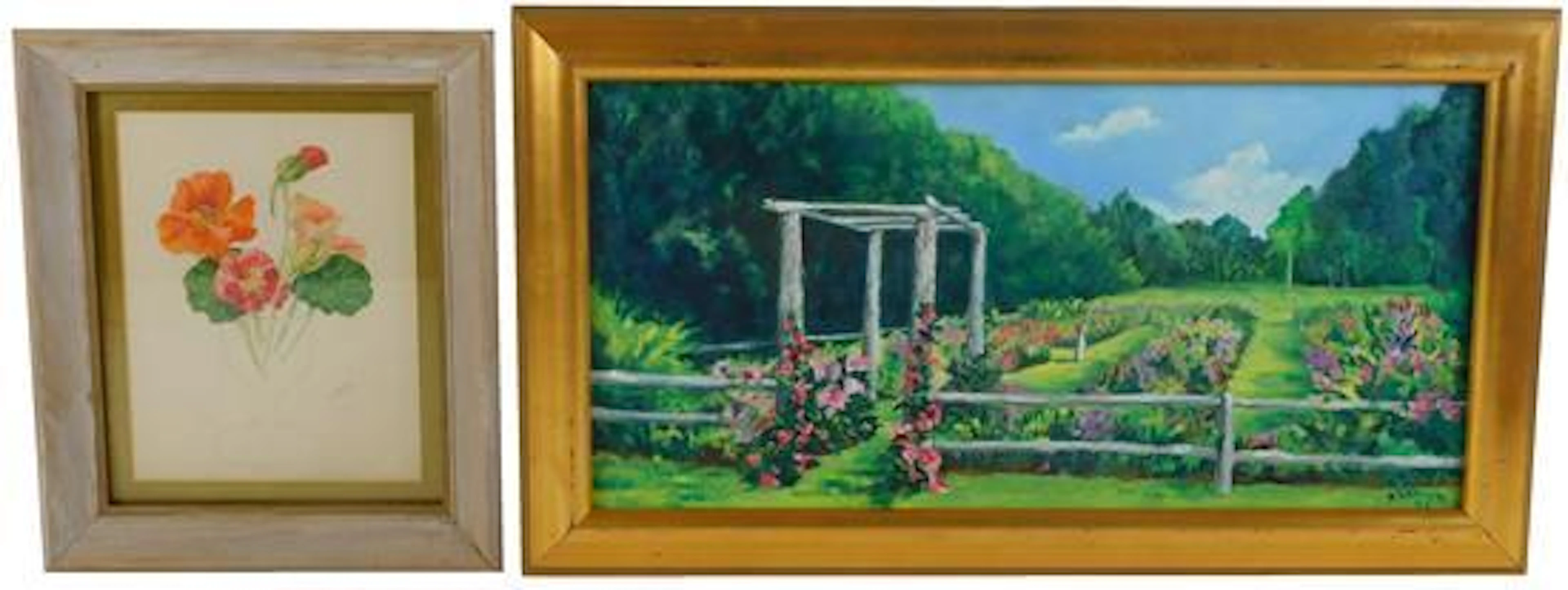 Two framed paintings of flowers by Doris Shaw and Dianne Gorrick