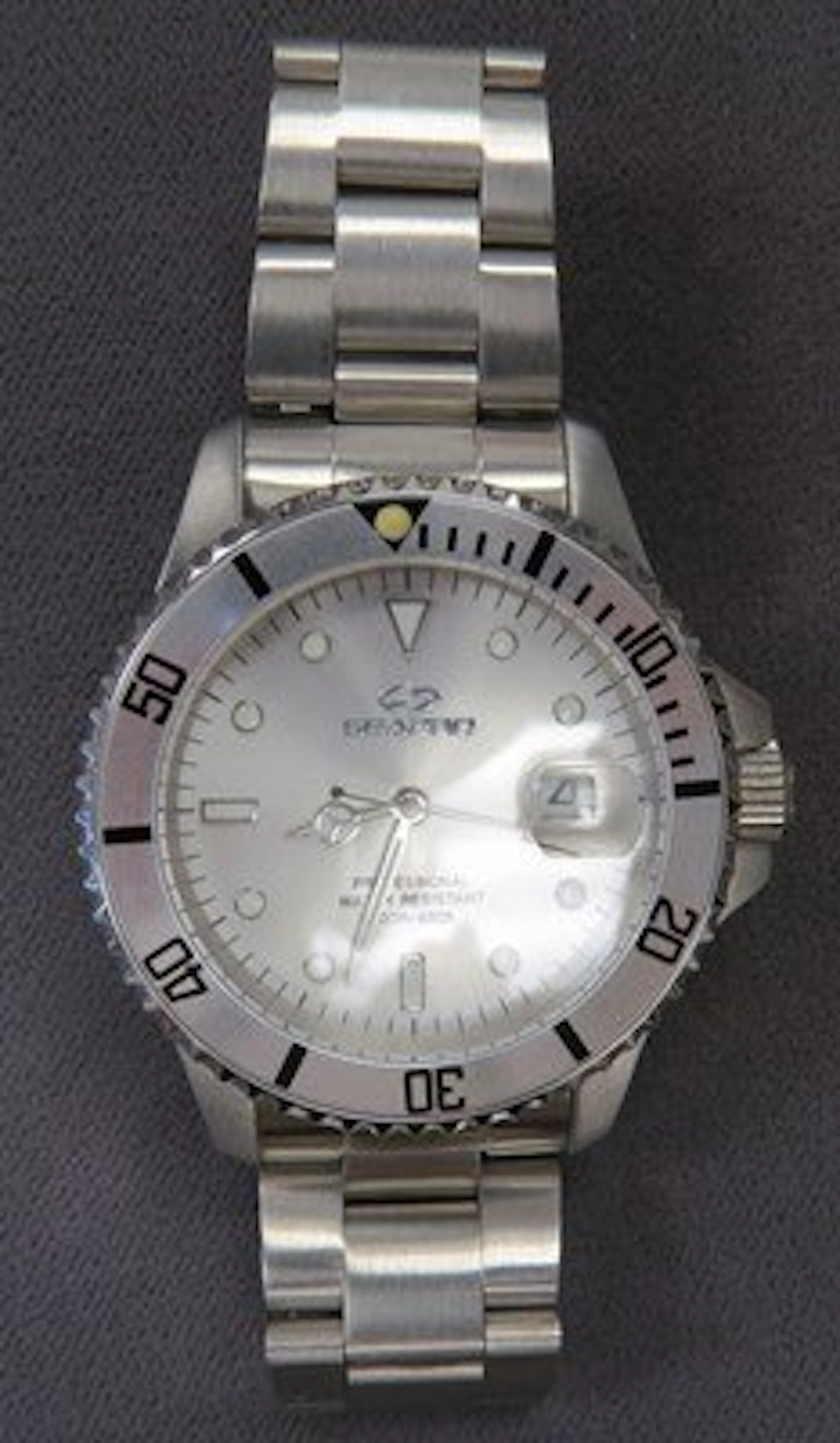 SEAPRO STAINLESS, 21-JEWEL PROFESSIONAL WATCH