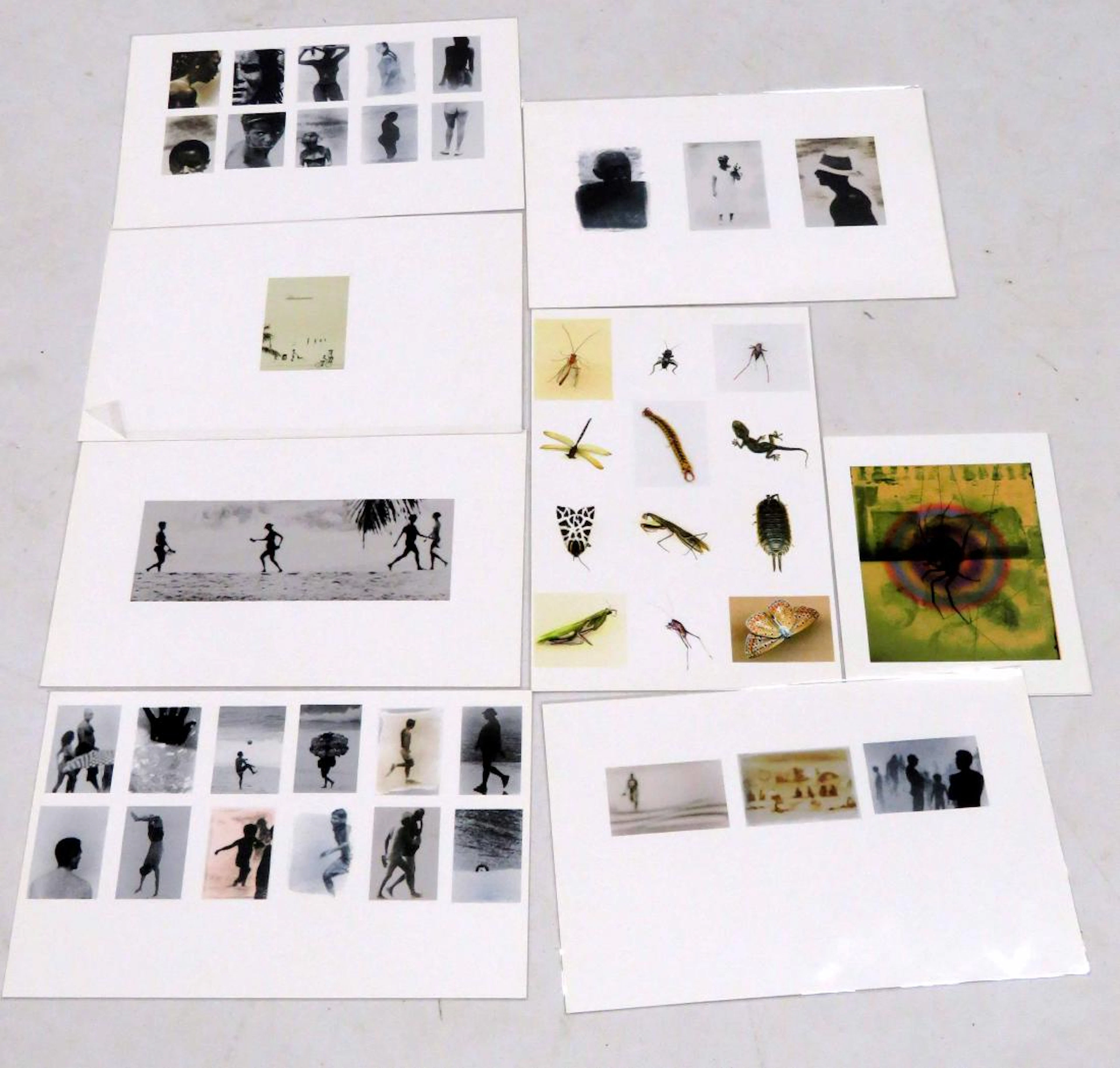 Lot assorted 20th century photography including sharon