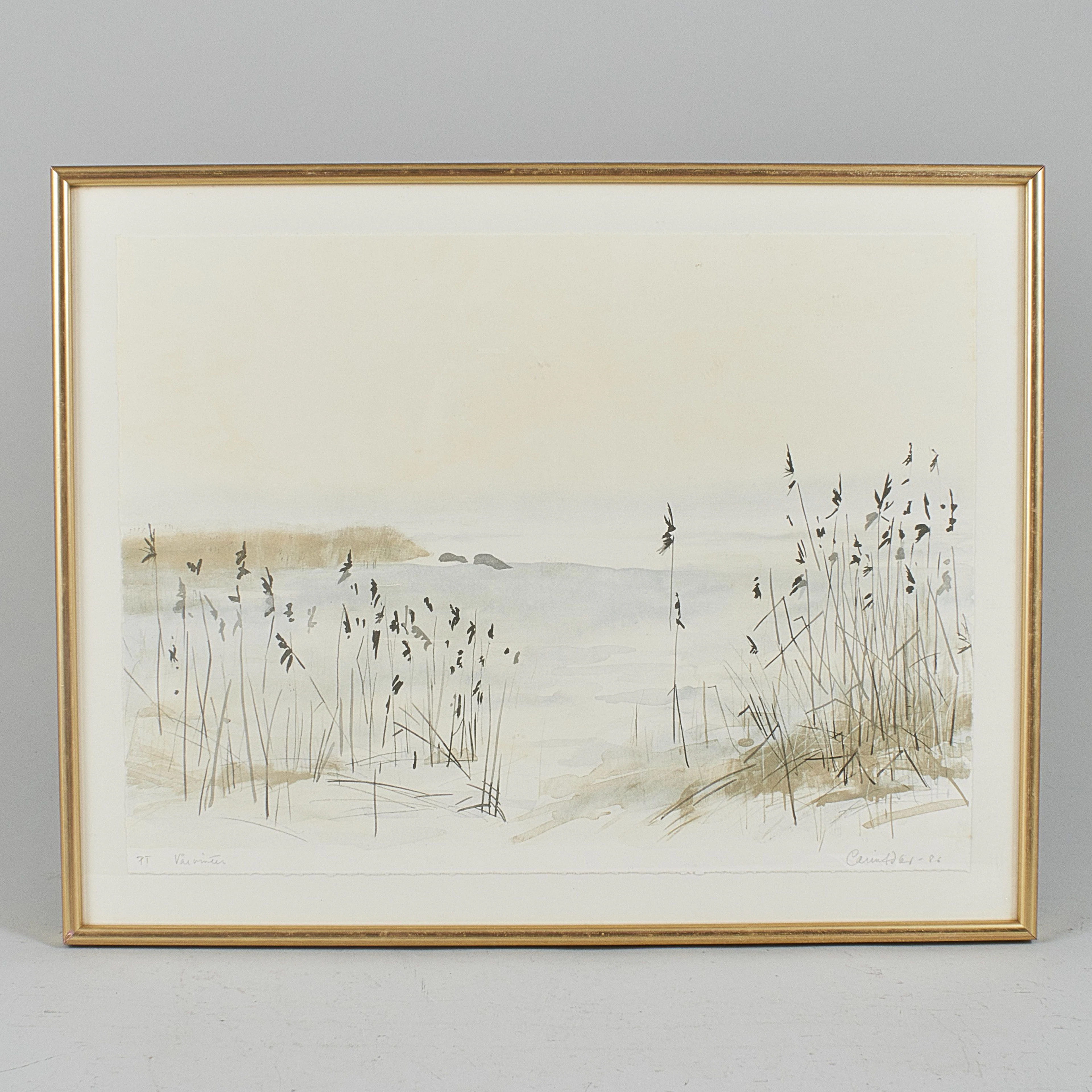 Carin Adler