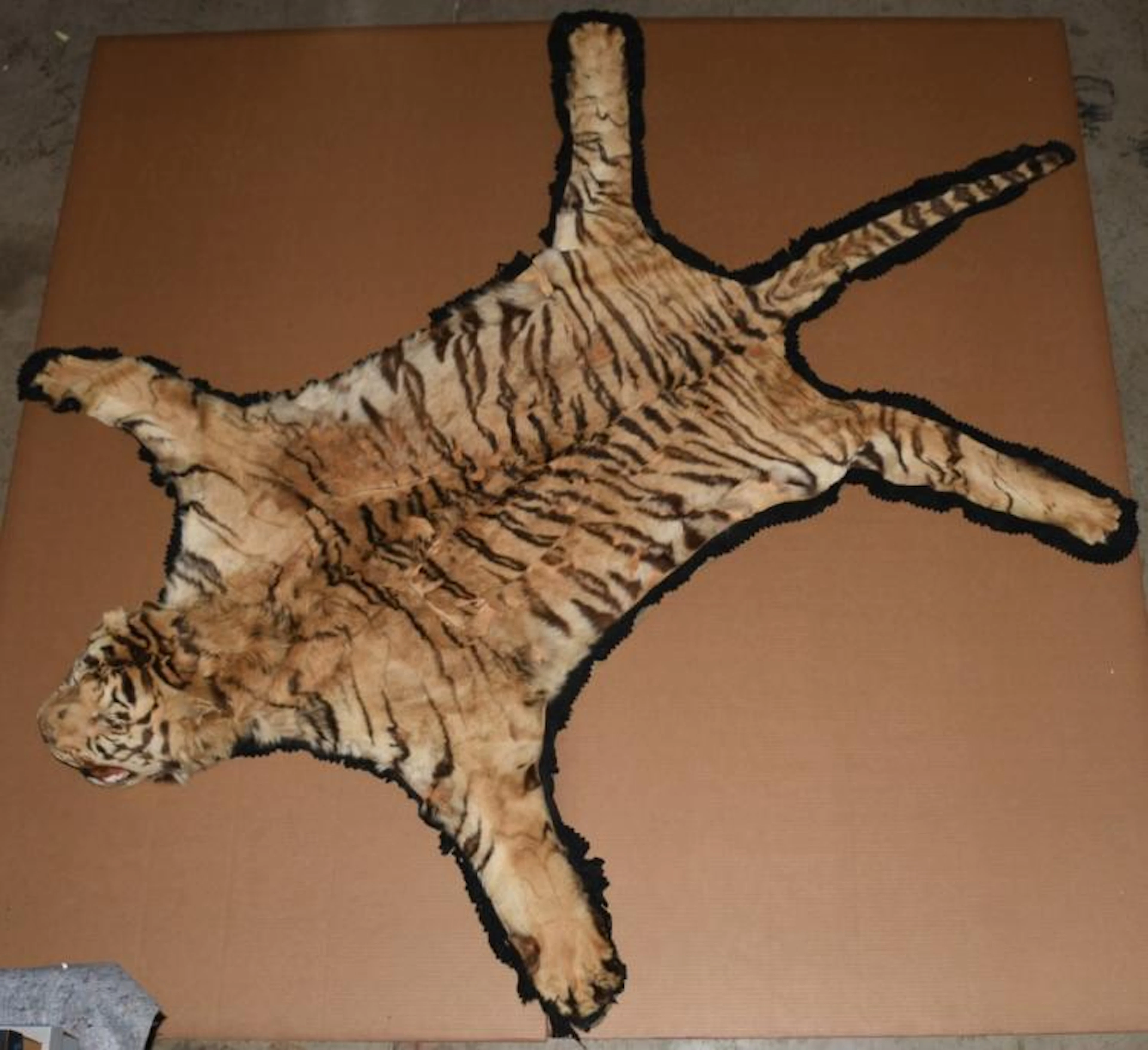 Antique Vintage African Tiger Skin Rug