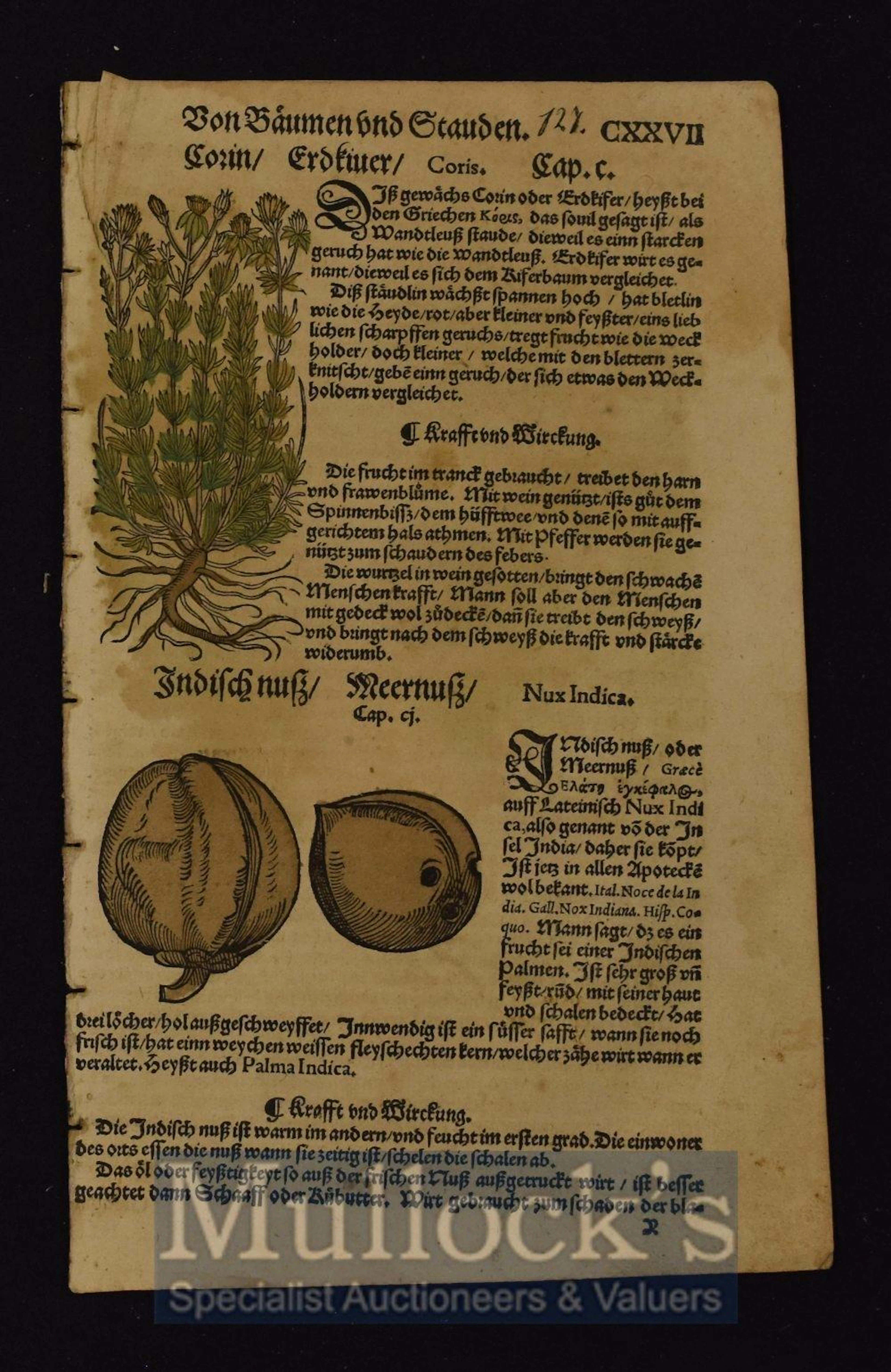 Early Herbal Quire Of 6 Leaves From "Lonicer" A...