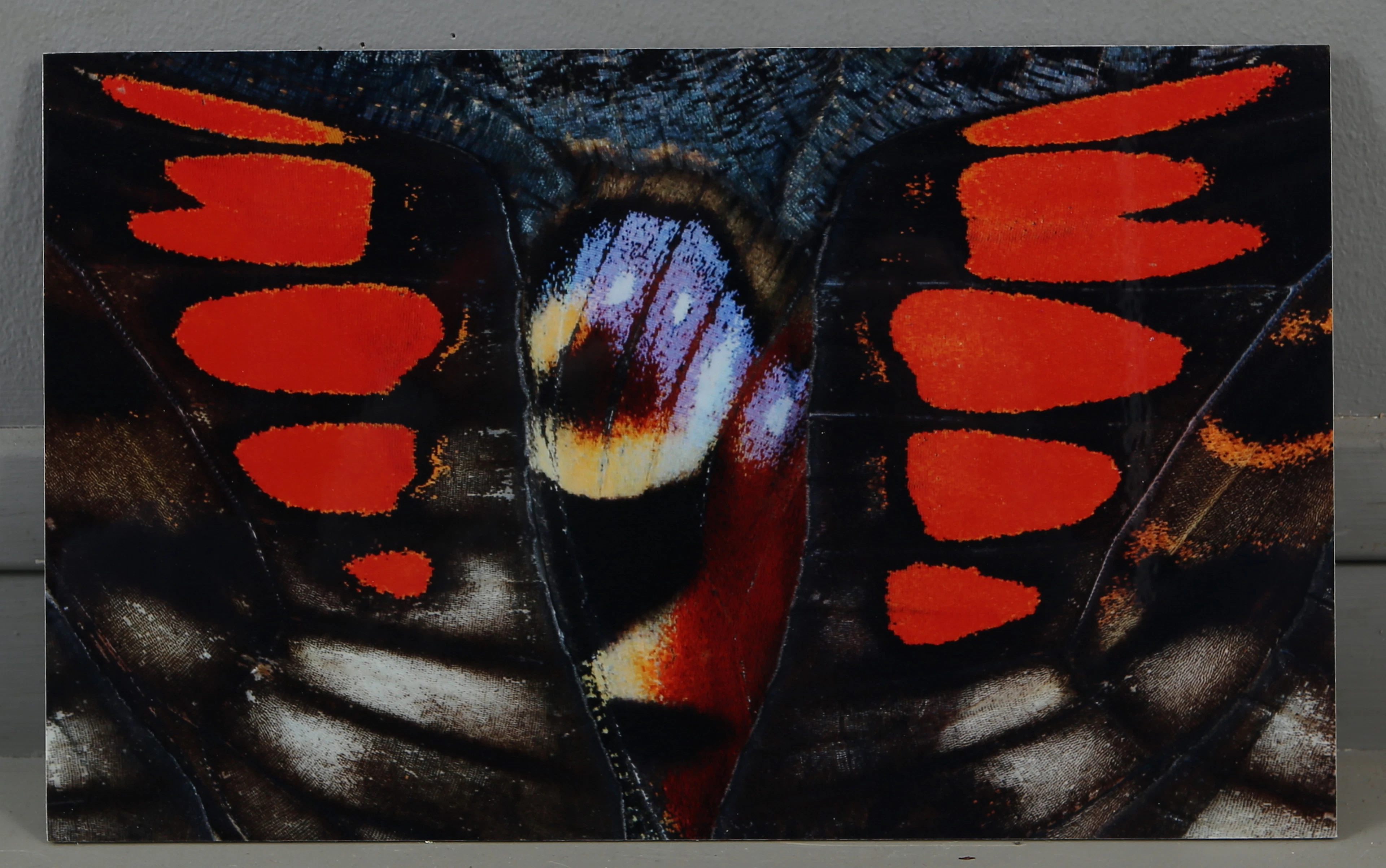 NATHALIA EDENMONT. "Spirit", C-print monterad på aluminium, signerad och daterad 2008.