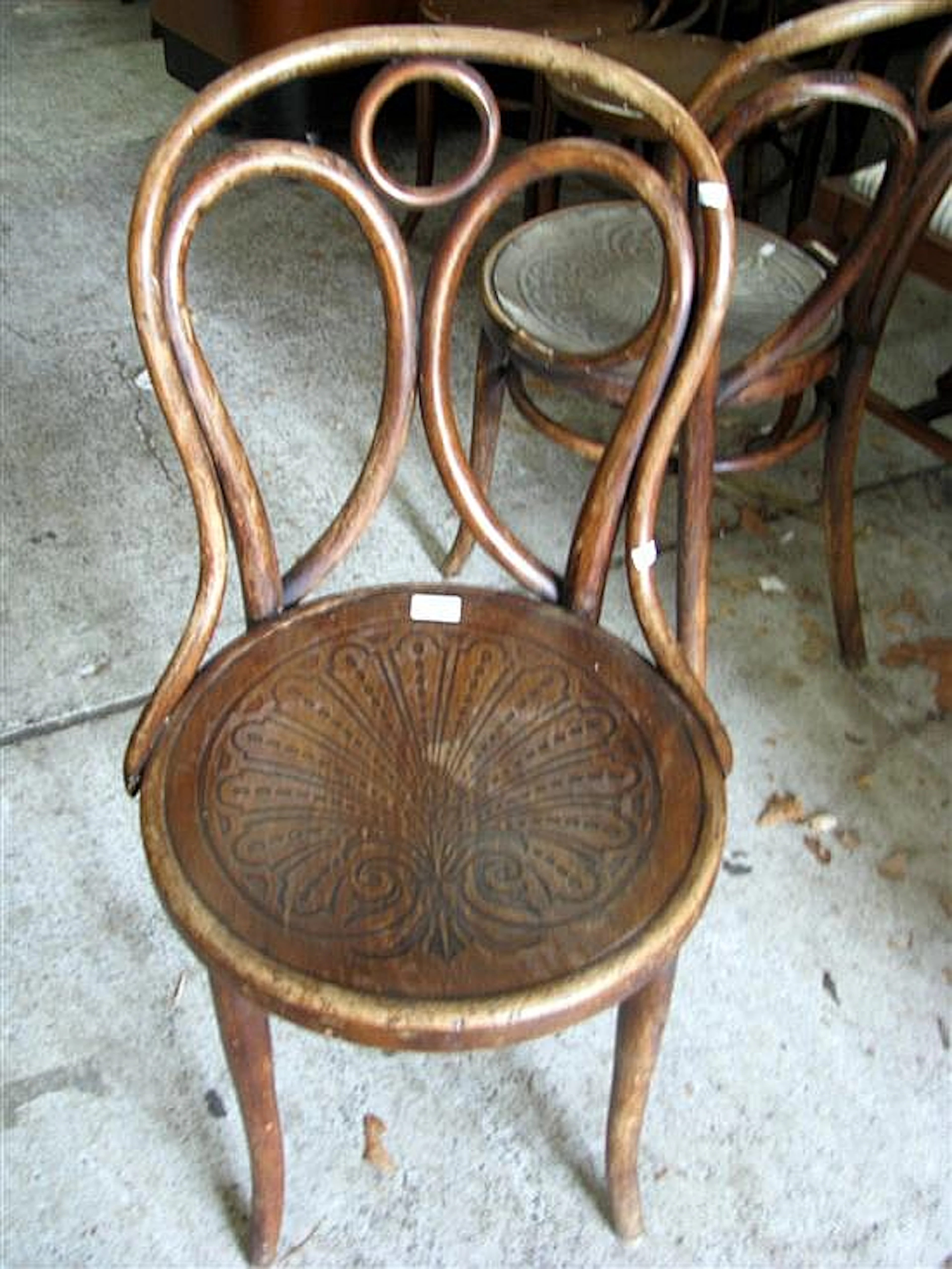 Two antique bentwood chairs