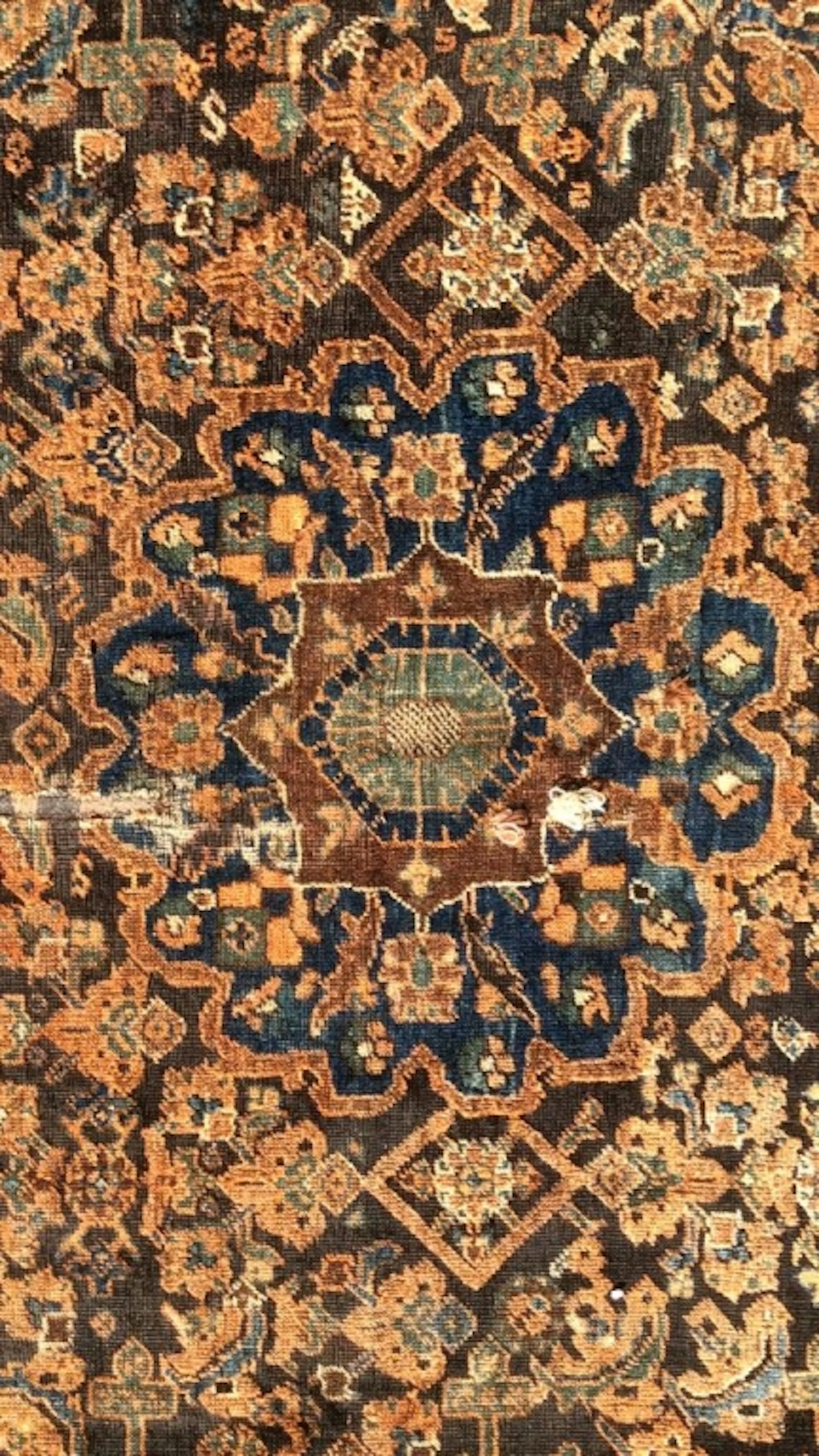 SHIRAZ Hand Knotted Irani Fringed Wool Rug
