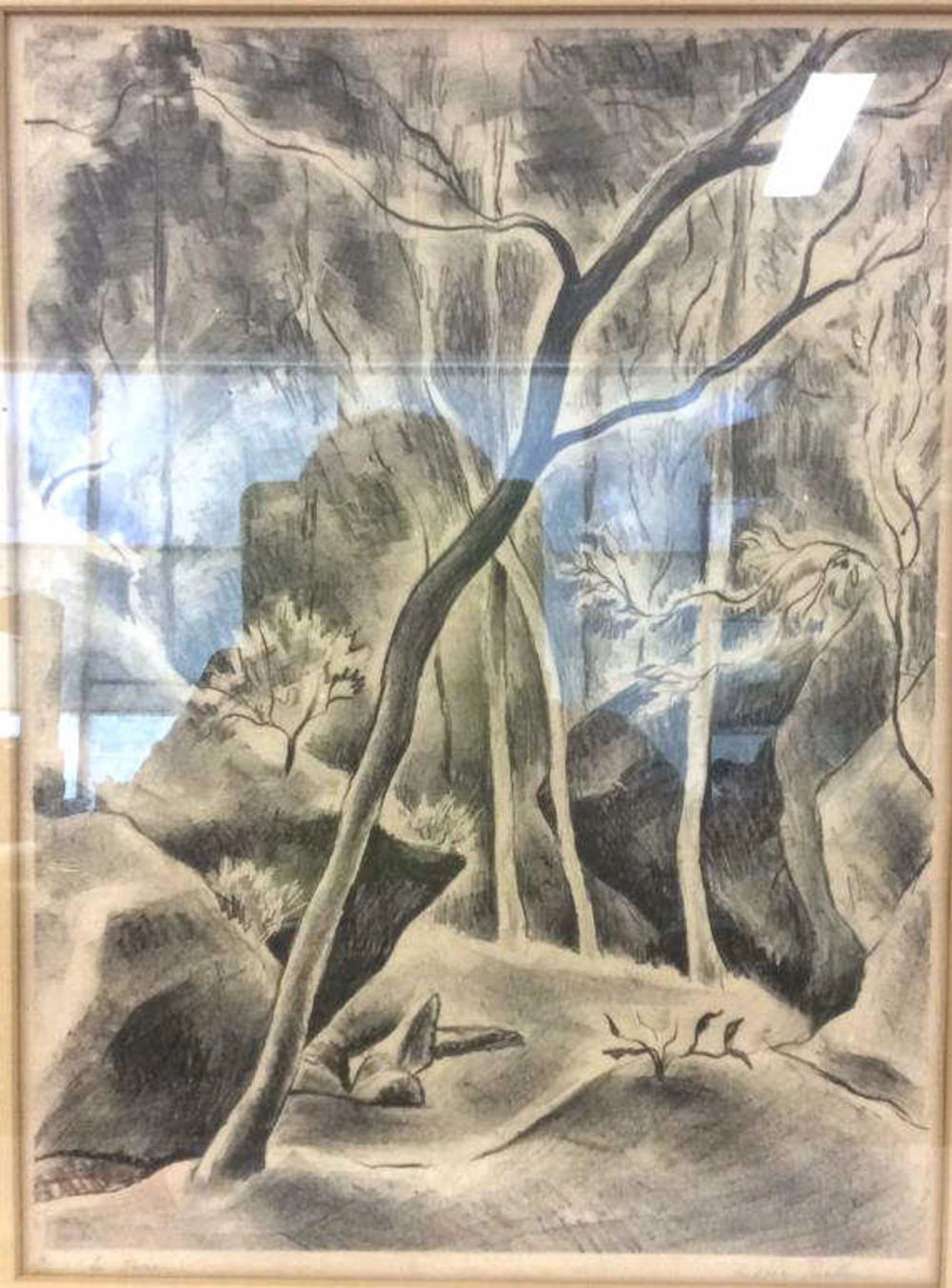 Signed Andree Ruellan Le Ravin Lithograph