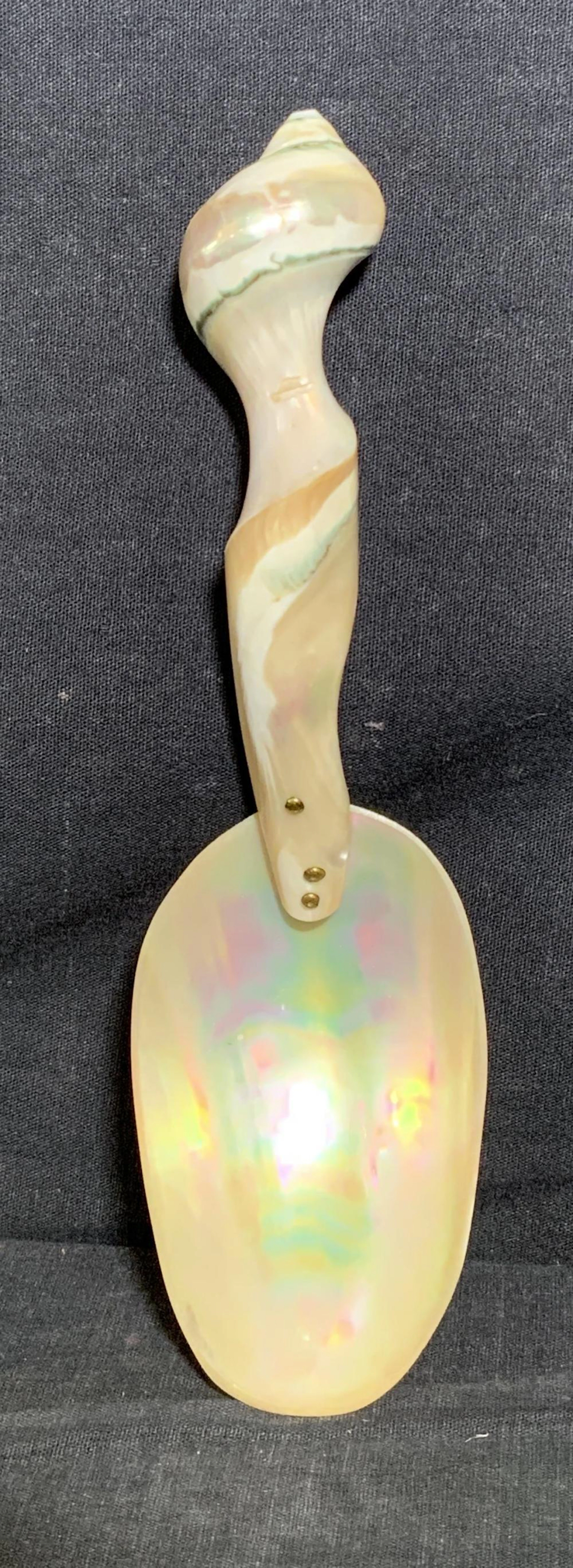 Vintage Mother of Pearl Serving Spoo