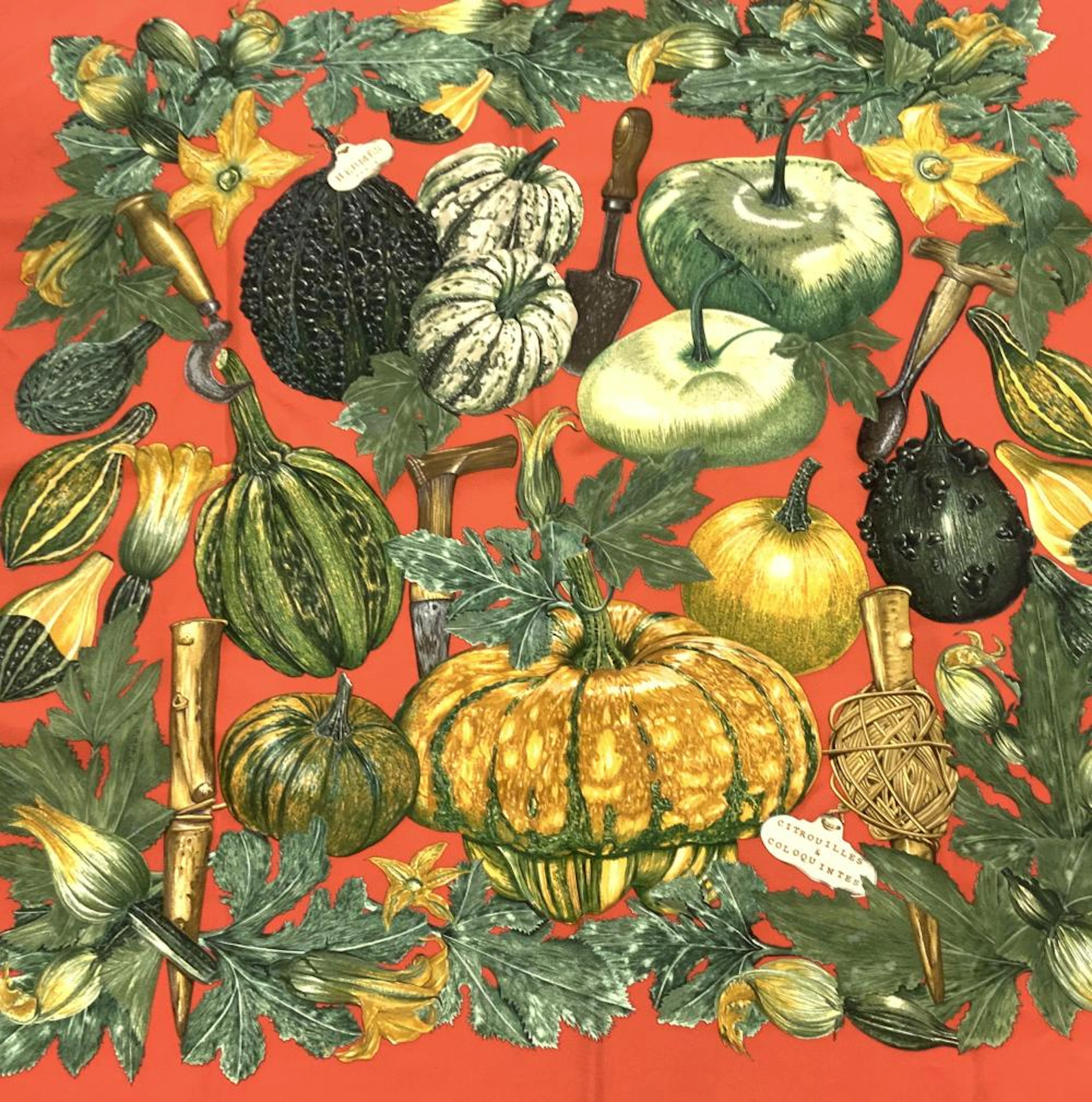 HERMeS PARIS CITROUILLES ET COLOQUINTES Scarf Sg