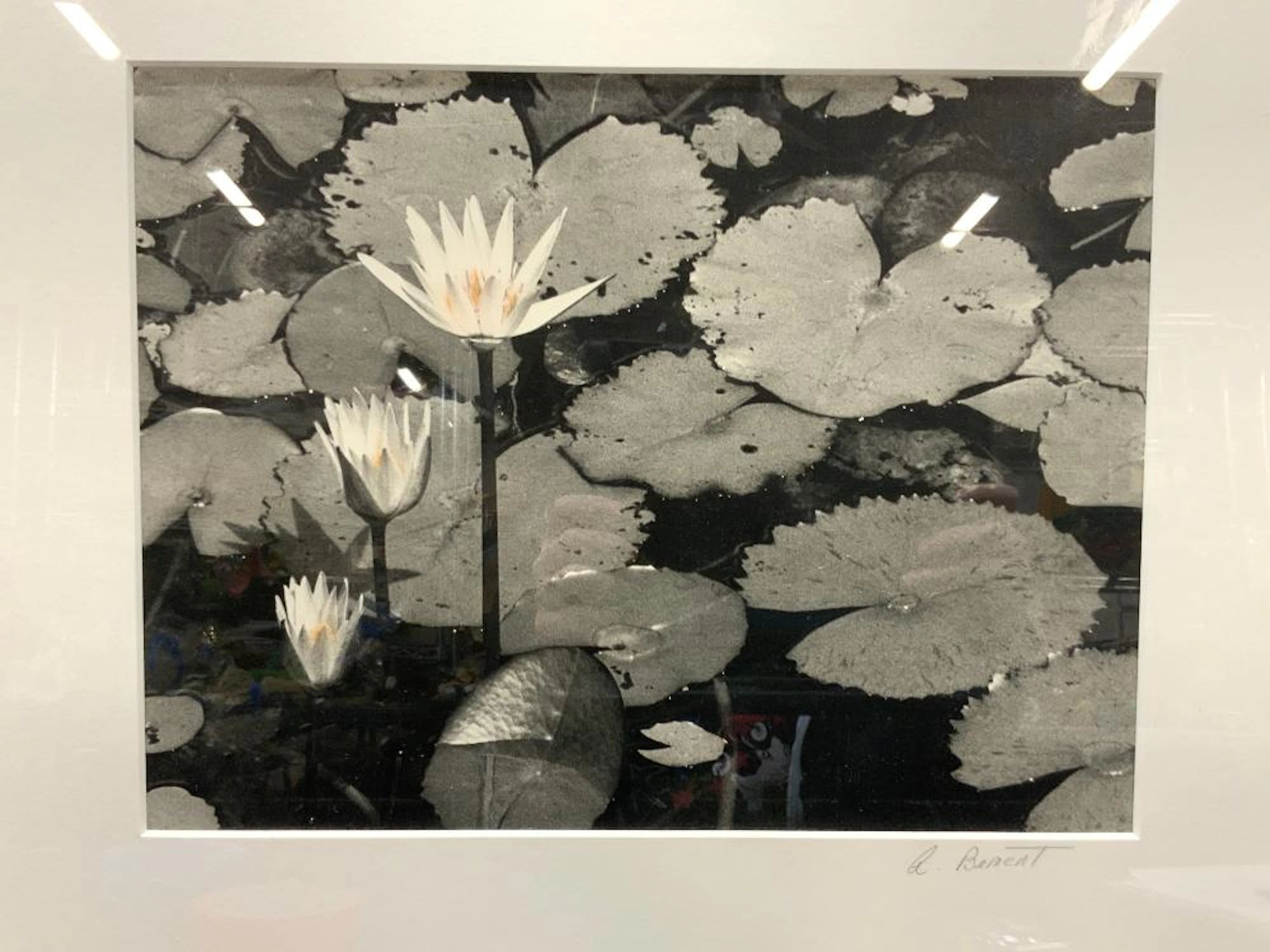 ALON BEMENT Signed Oils On Silver Print
