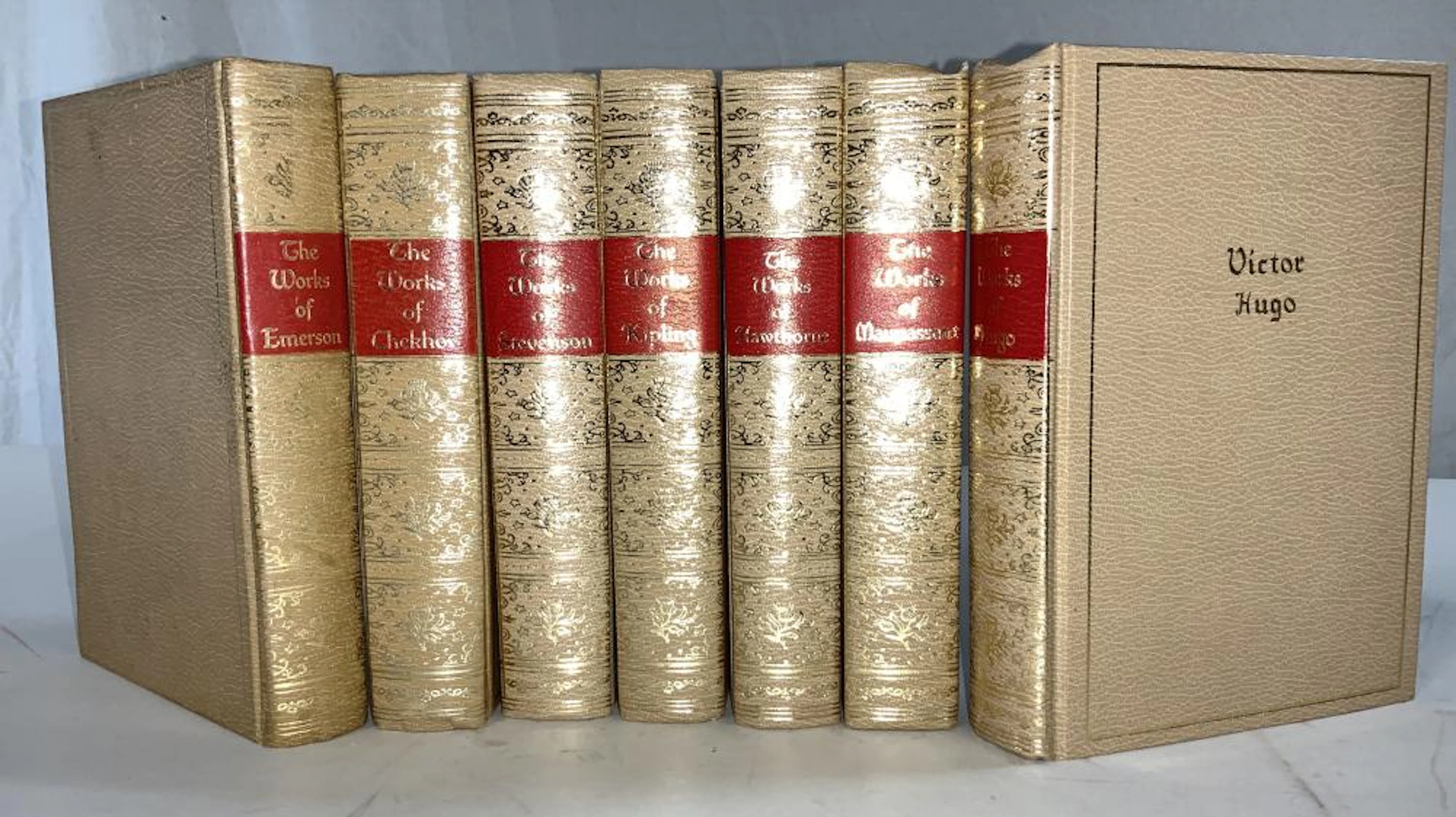 Classic 19th C Literature, 7 Bks, Hugo Chekov more