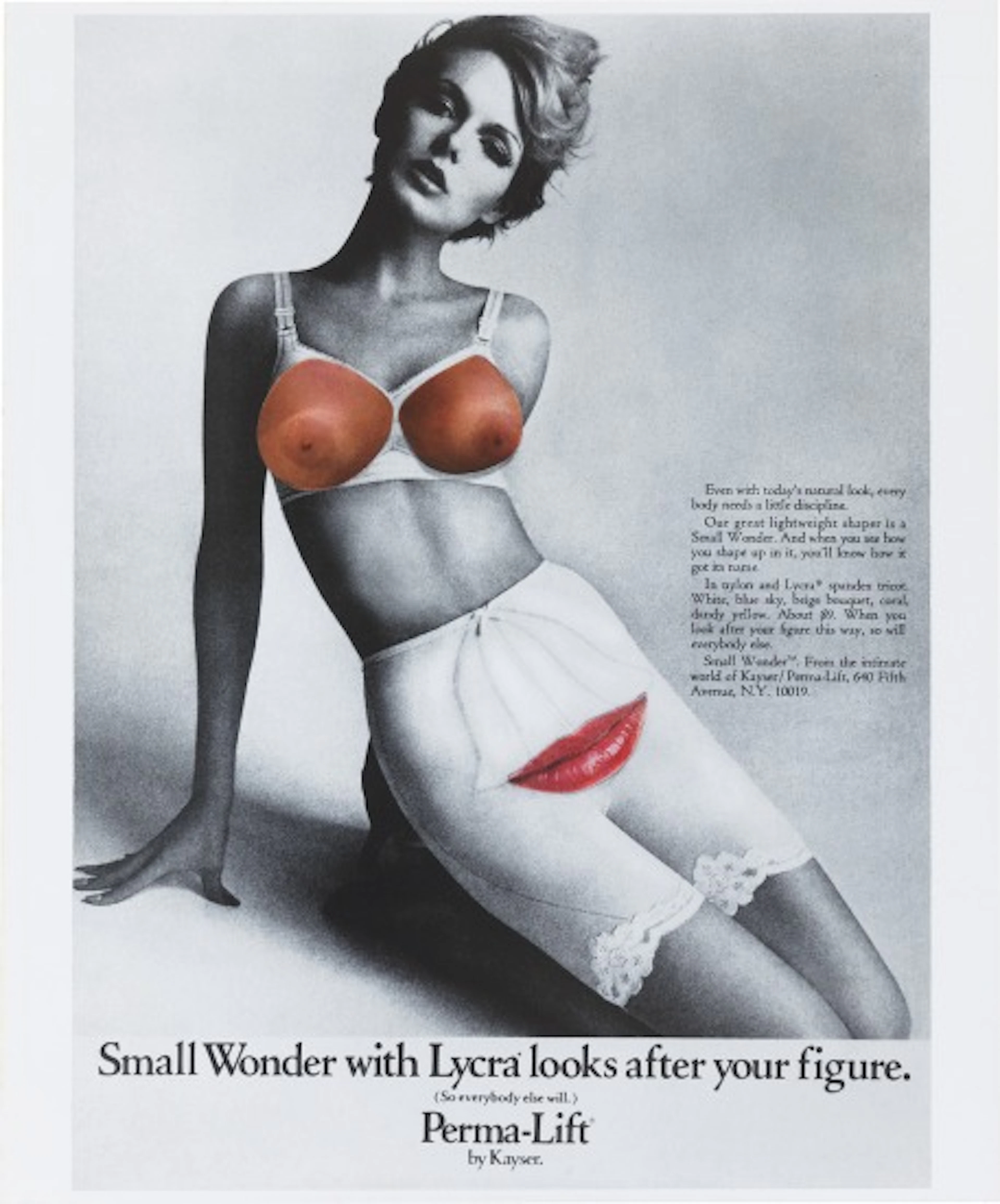 Martha Rosler - Small Wonde