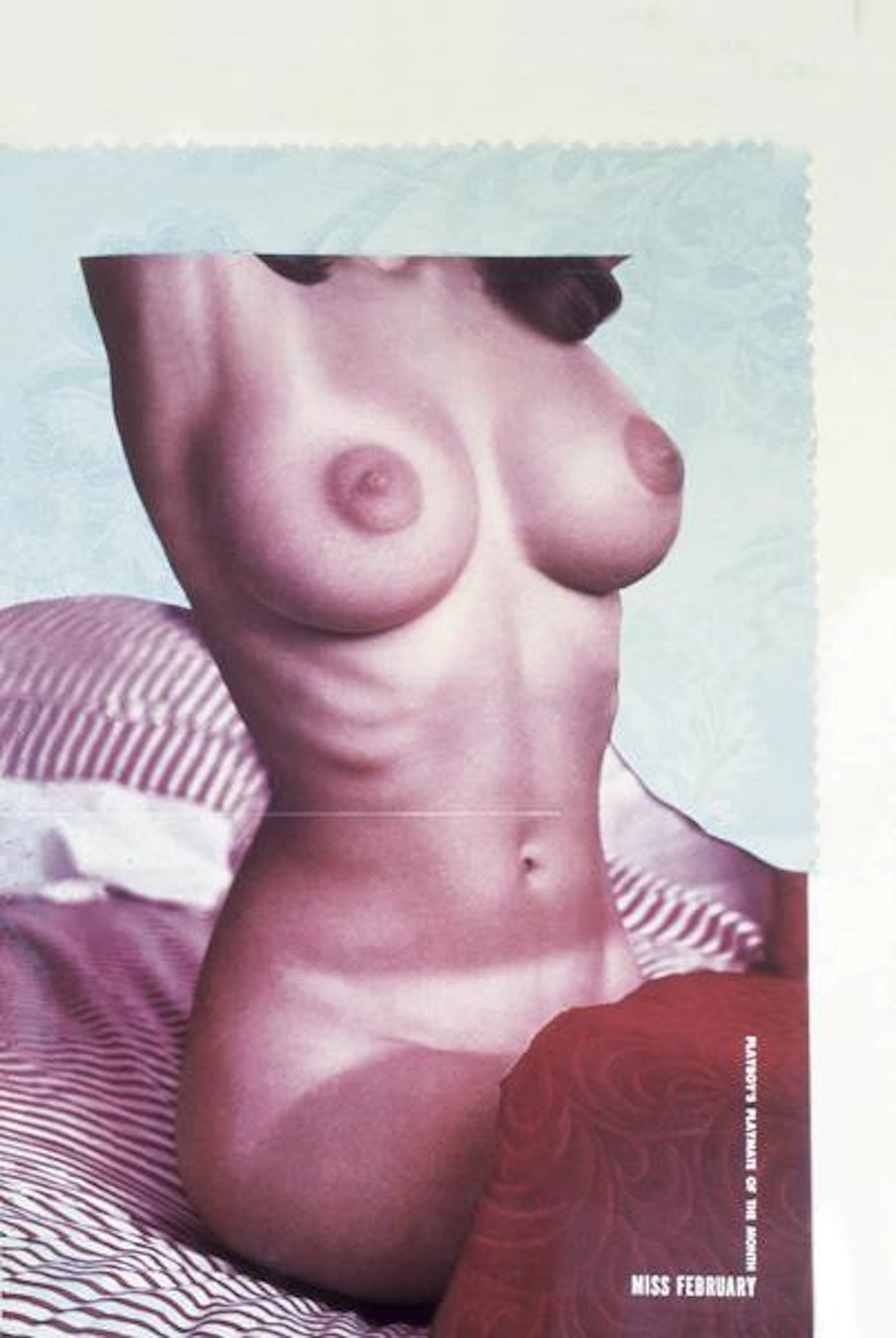 Centerfold or Miss February, 1972 – Martha Rosler