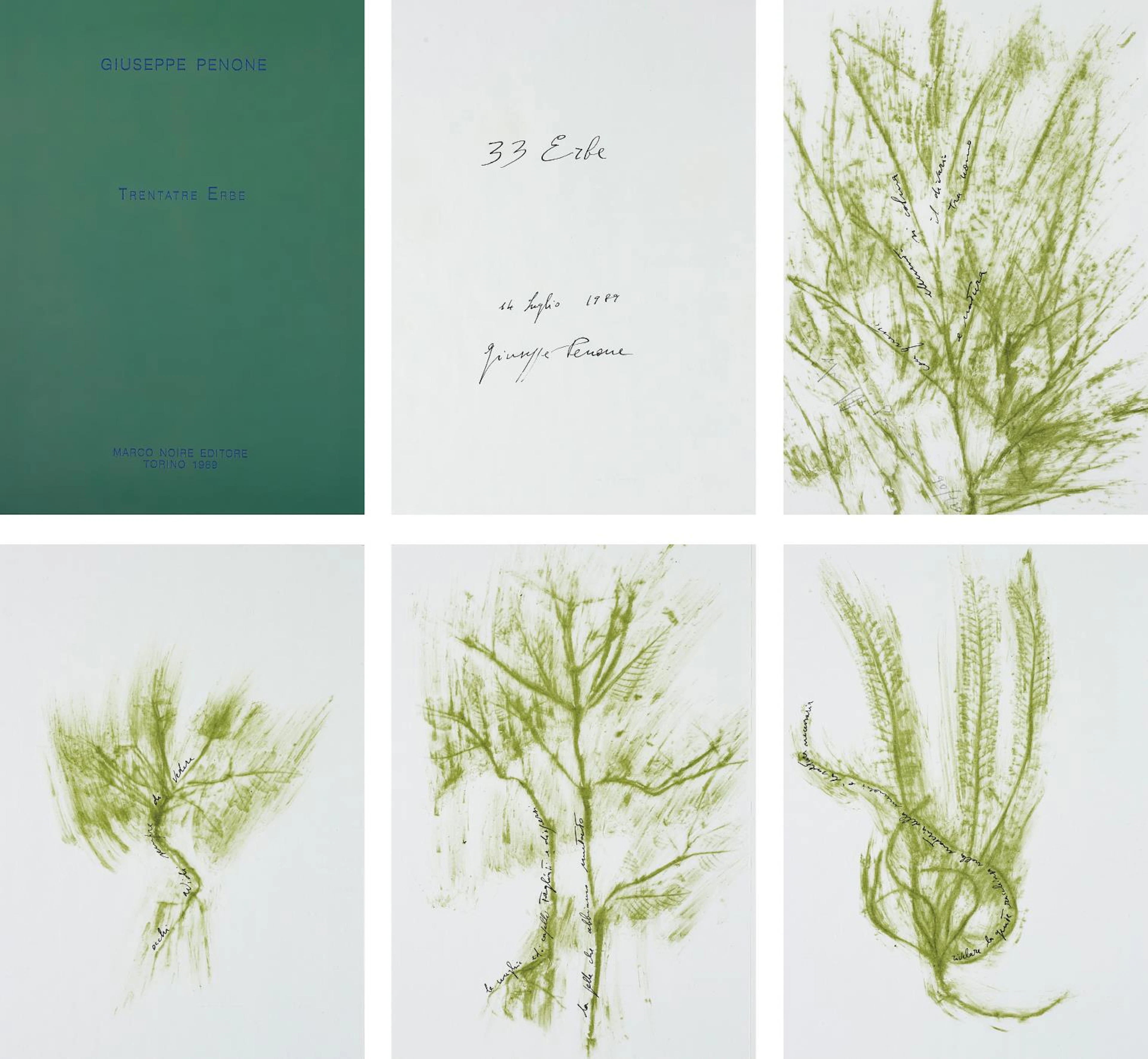 Trentatré Erbe (Thirty-three Herbs), 1989 – Giuseppe Penone