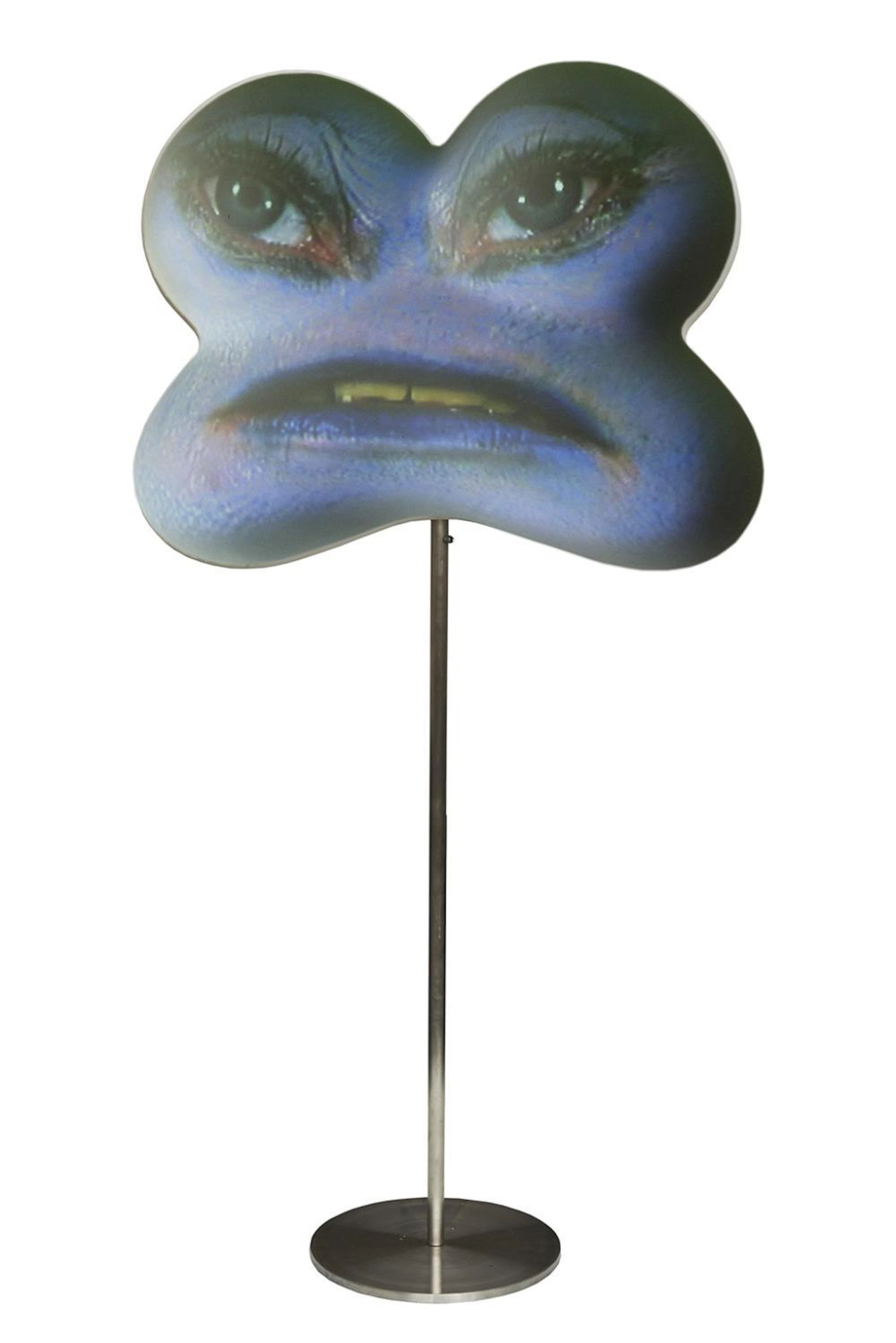 Tony Oursler (American, b. 1957) Blue Frown, 2006
