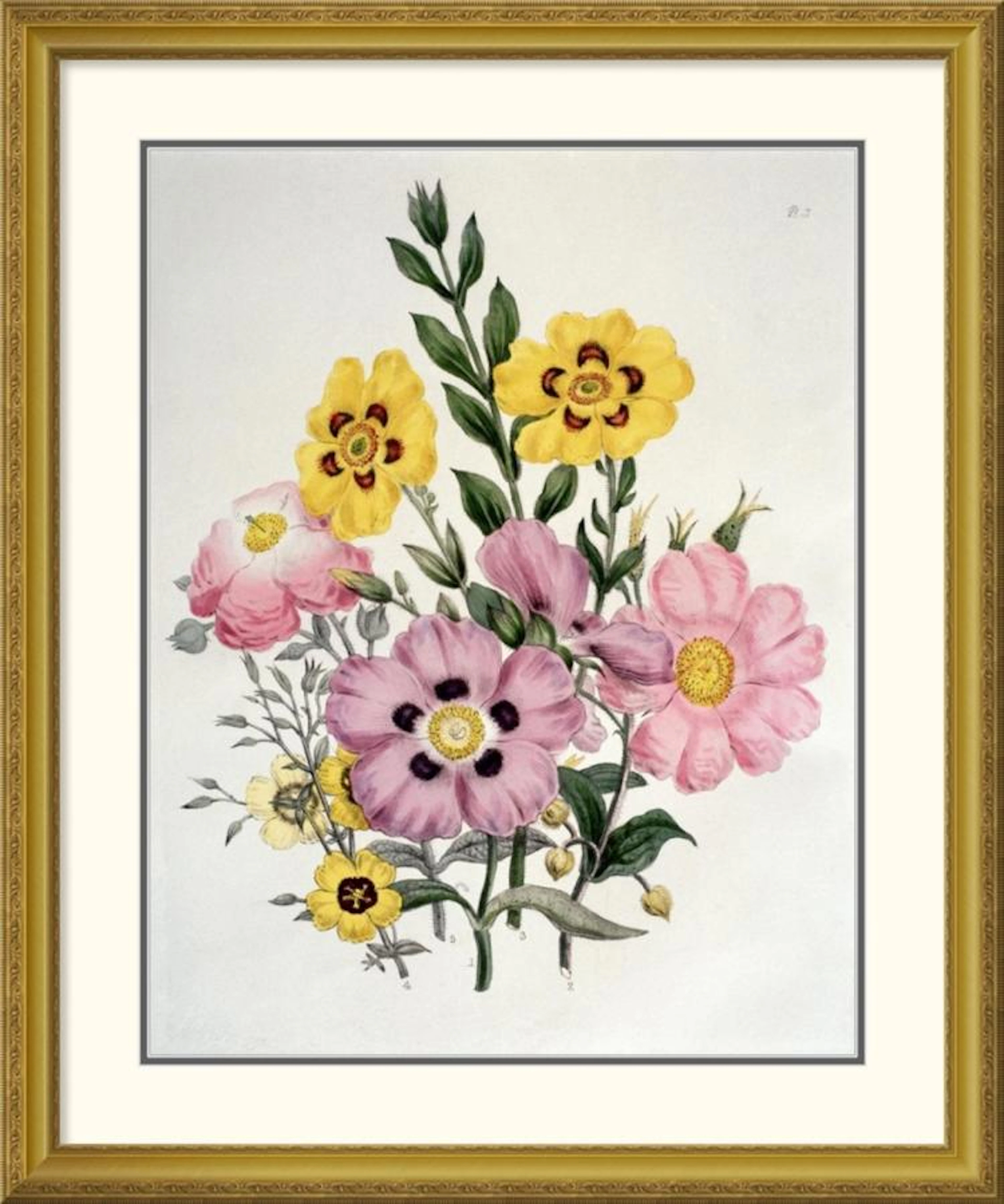 Sir Edward Burne-Jones - Yellow and Pink Mixed Flowers. Cistus