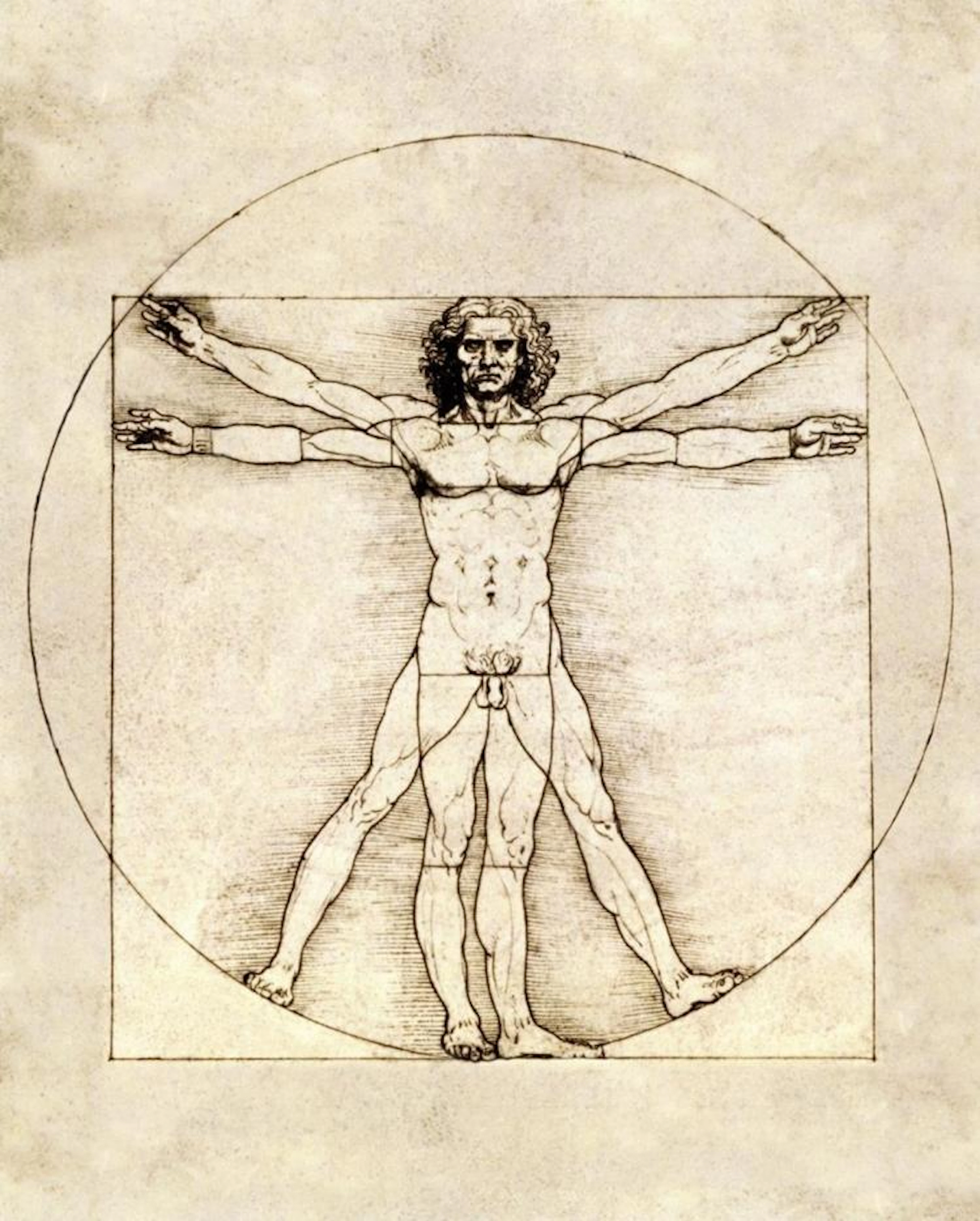 LEONARDO DA VINCI - PROPORTIONS OF THE HUMAN FIGURE (VITRUVIAN MAN)