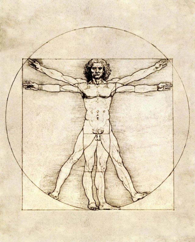 LEONARDO DA VINCI - PROPORTIONS OF THE HUMAN FIGURE (VITRUVIAN MAN)