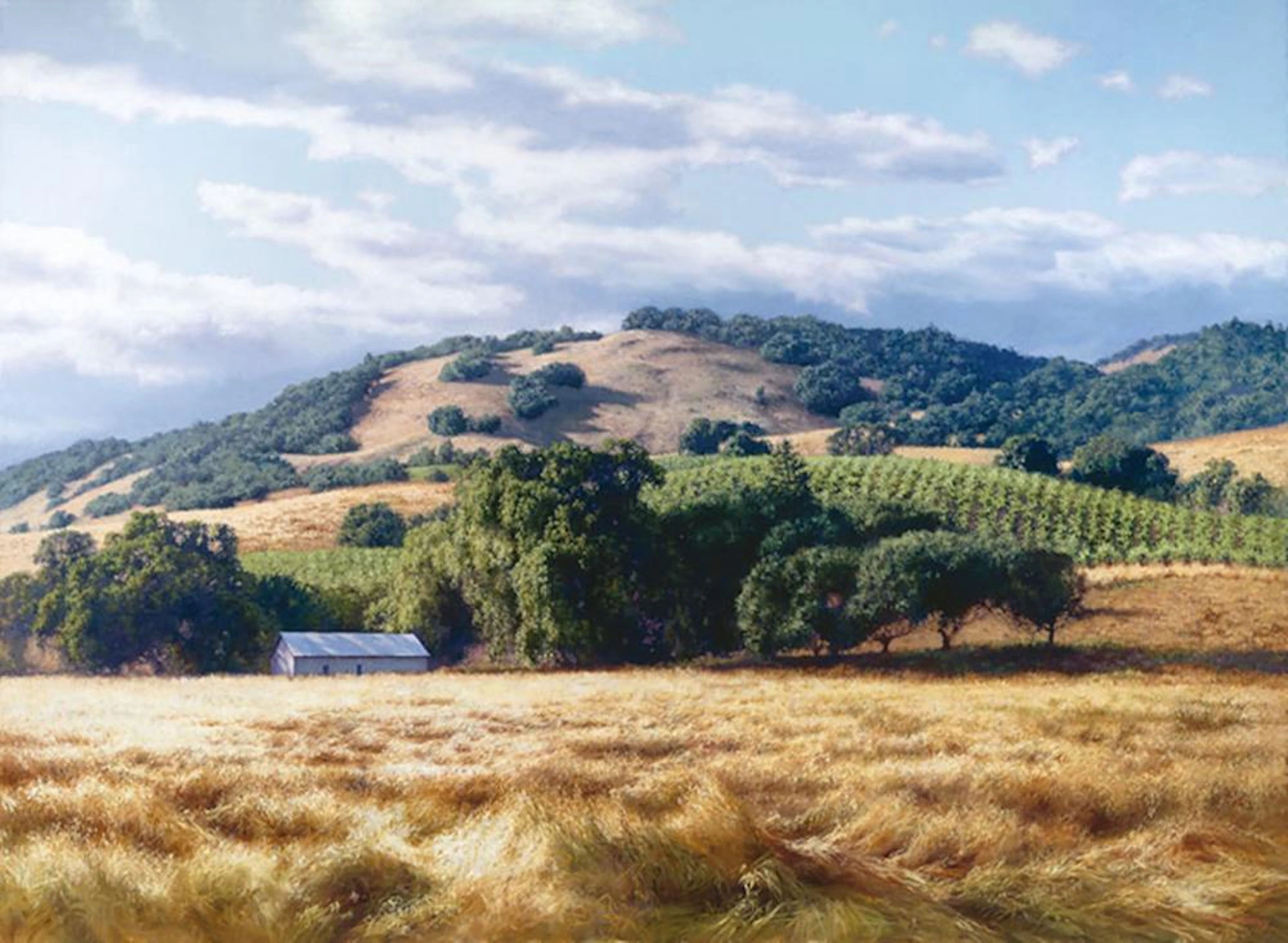 June Carey California Wine Country
