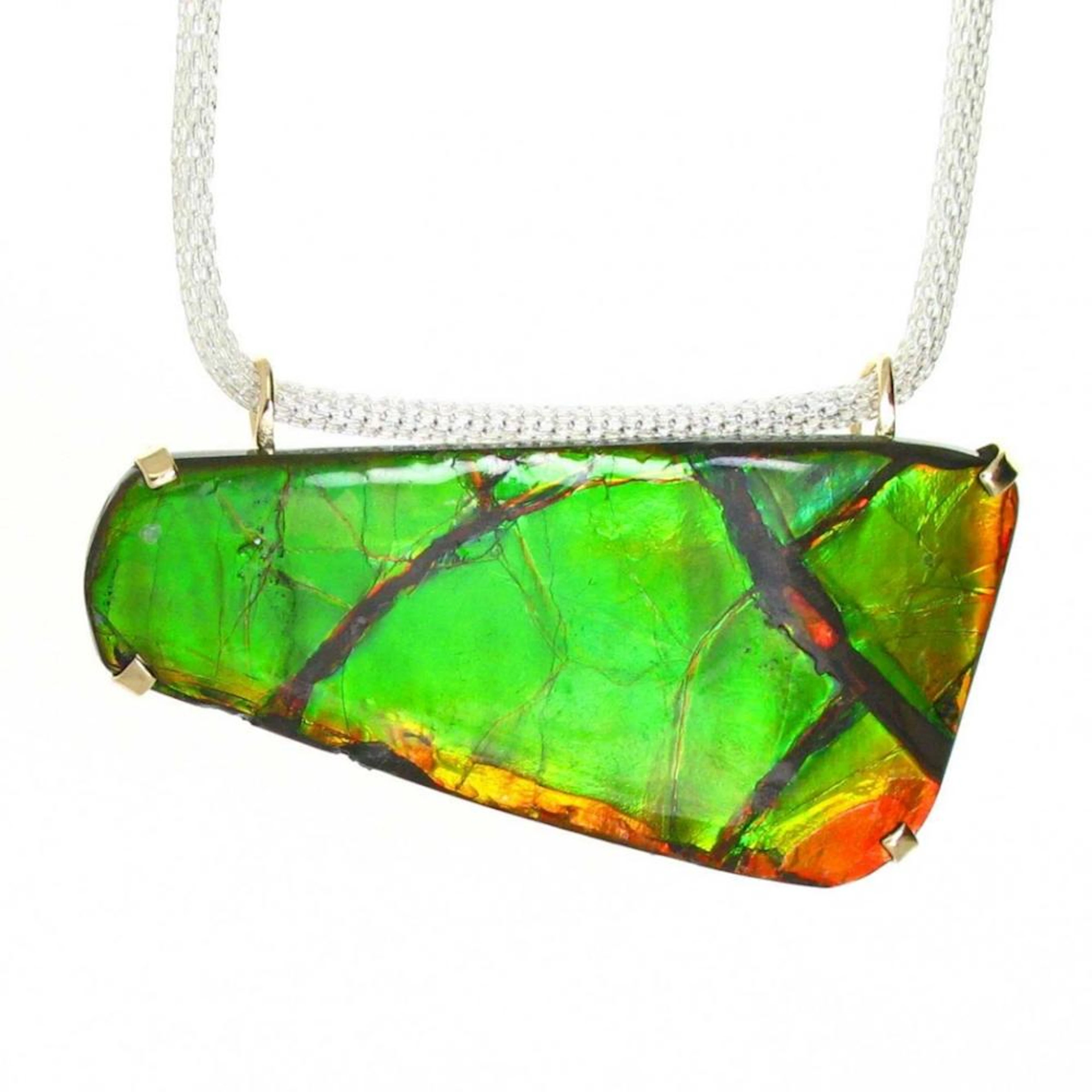 A Beautiful Large Canadian Ammolite