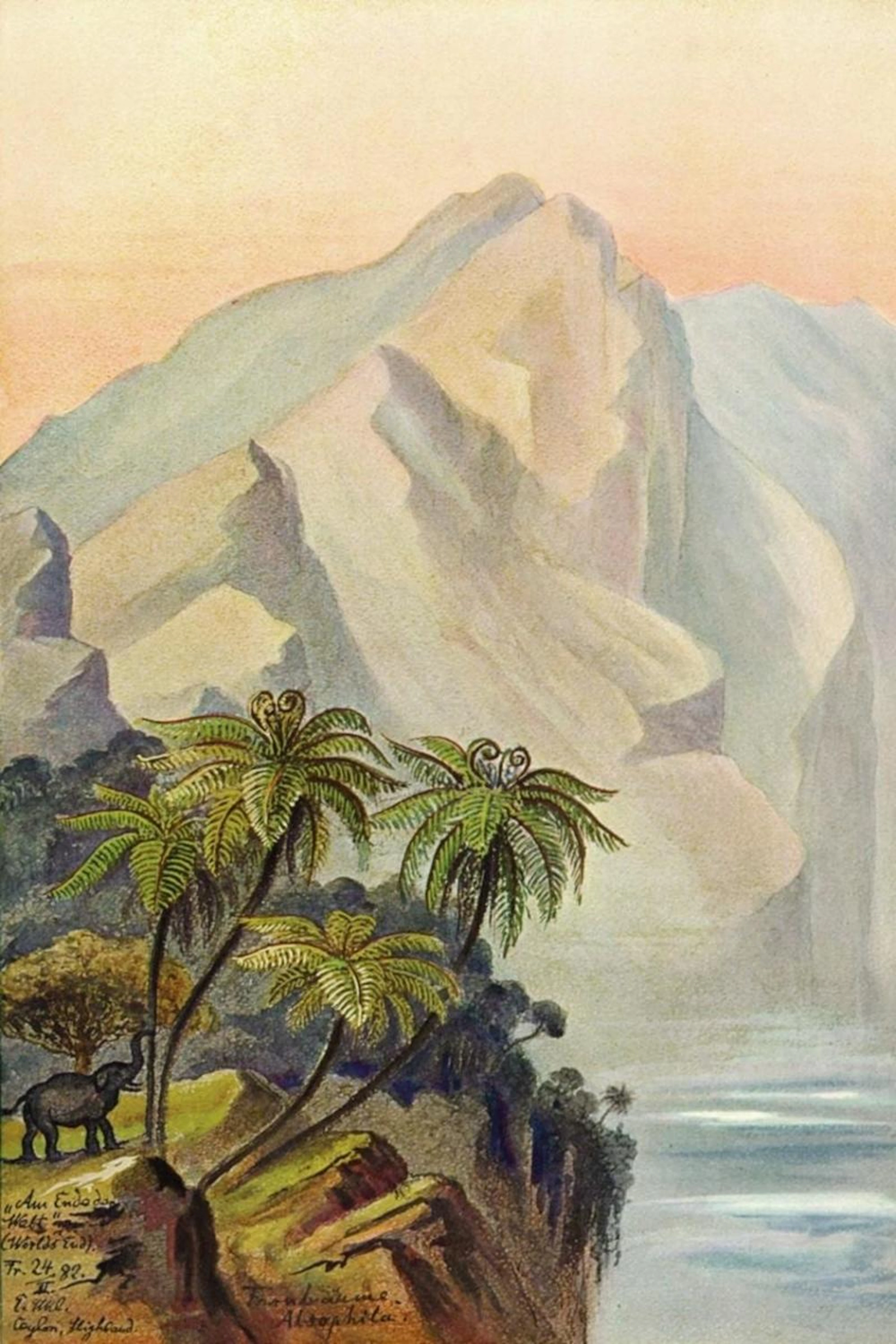 ERNST HAECKEL AM ENDE DER WELT WORLDS END. CEYLON