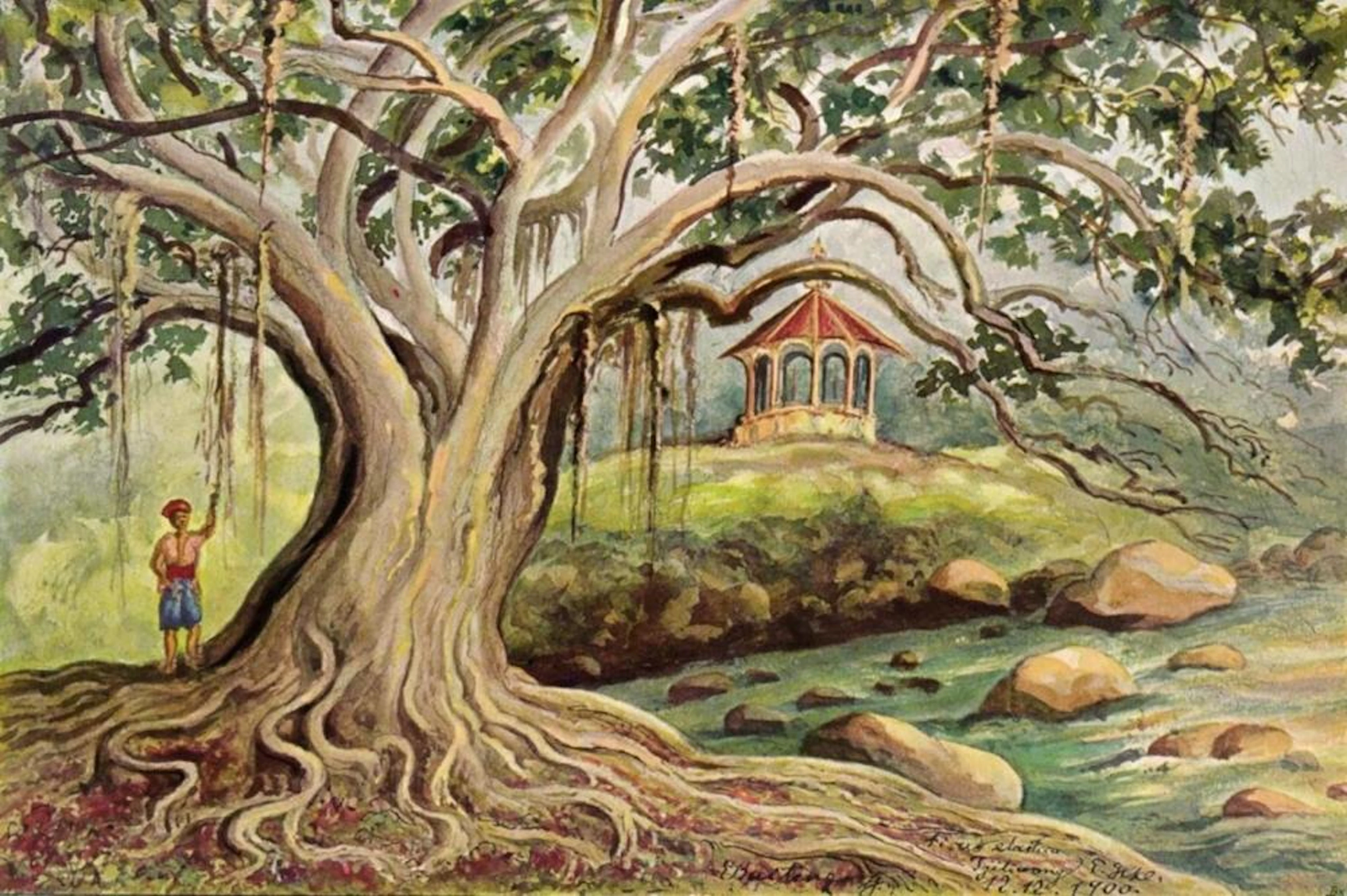 ERNST HAECKEL GUMMIBAUM AUF JAVA FICUS ELASTICA IN BUITENZORG