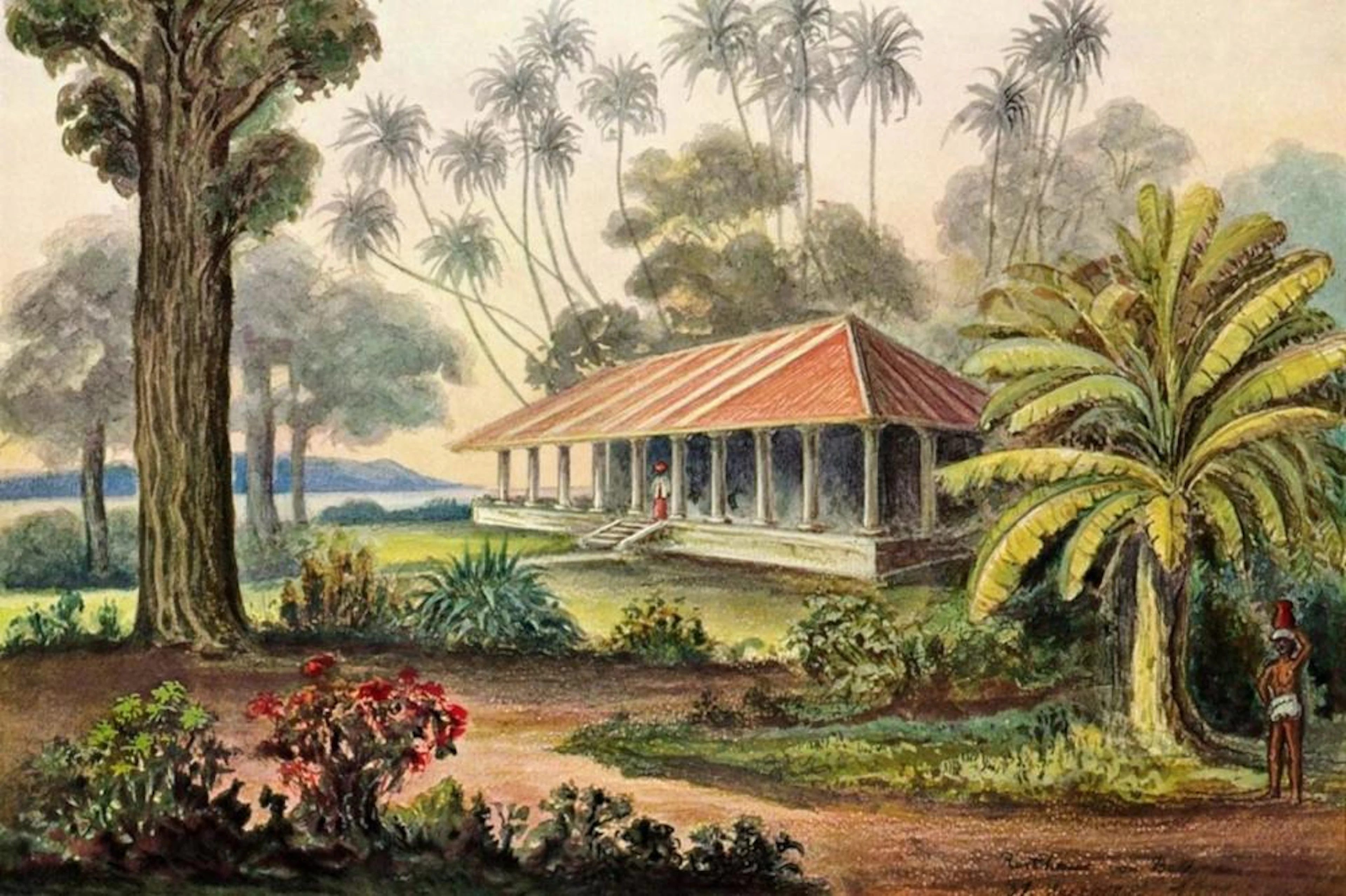 ERNST HAECKEL RASTHAUS VON BELLIGEMMA SüDKüSTE VON CEYLON