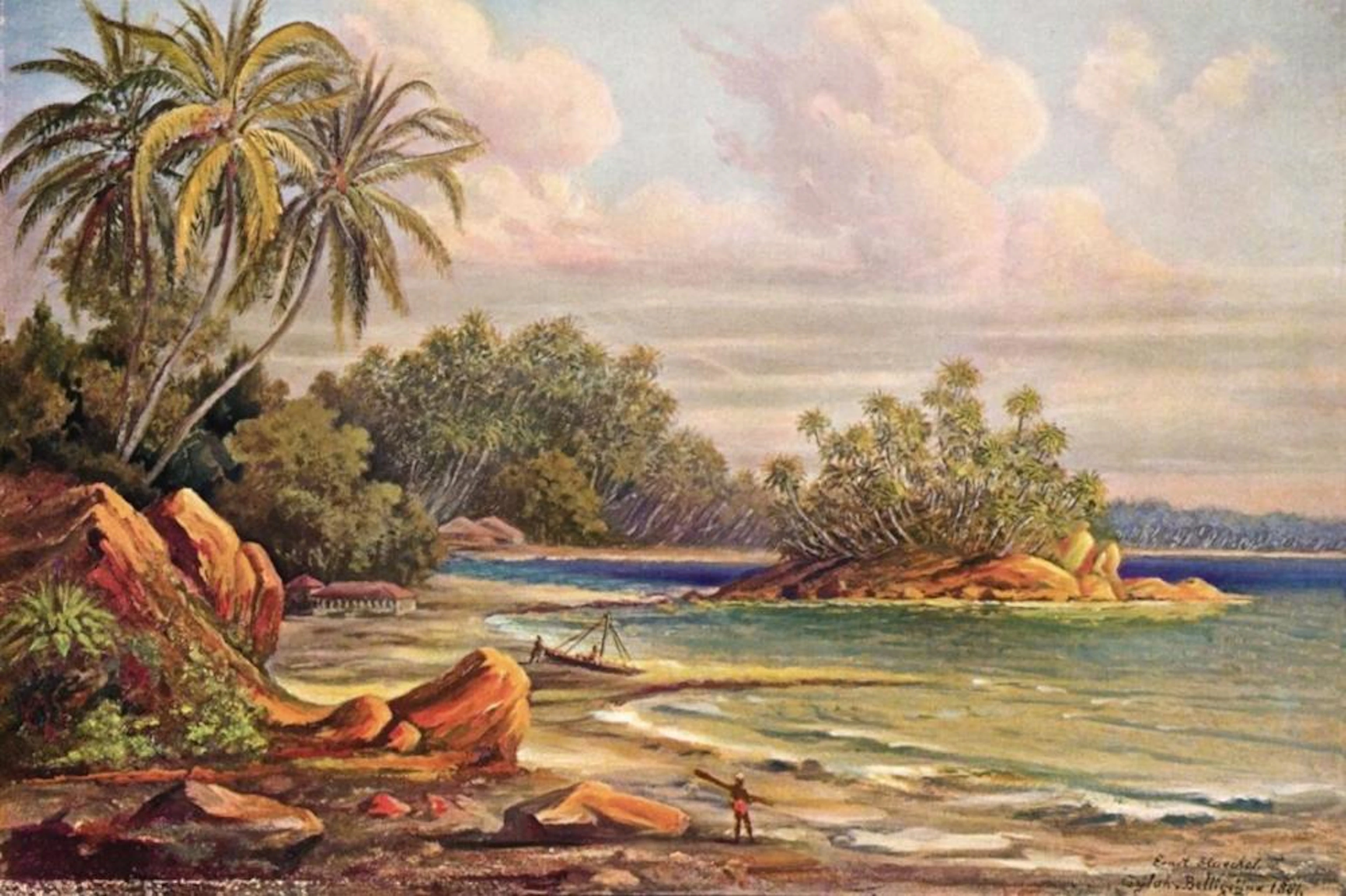 ERNST HAECKEL COCOS-INSEL BEI BELLIGEMMA (GAN-DUVA) CEYLON