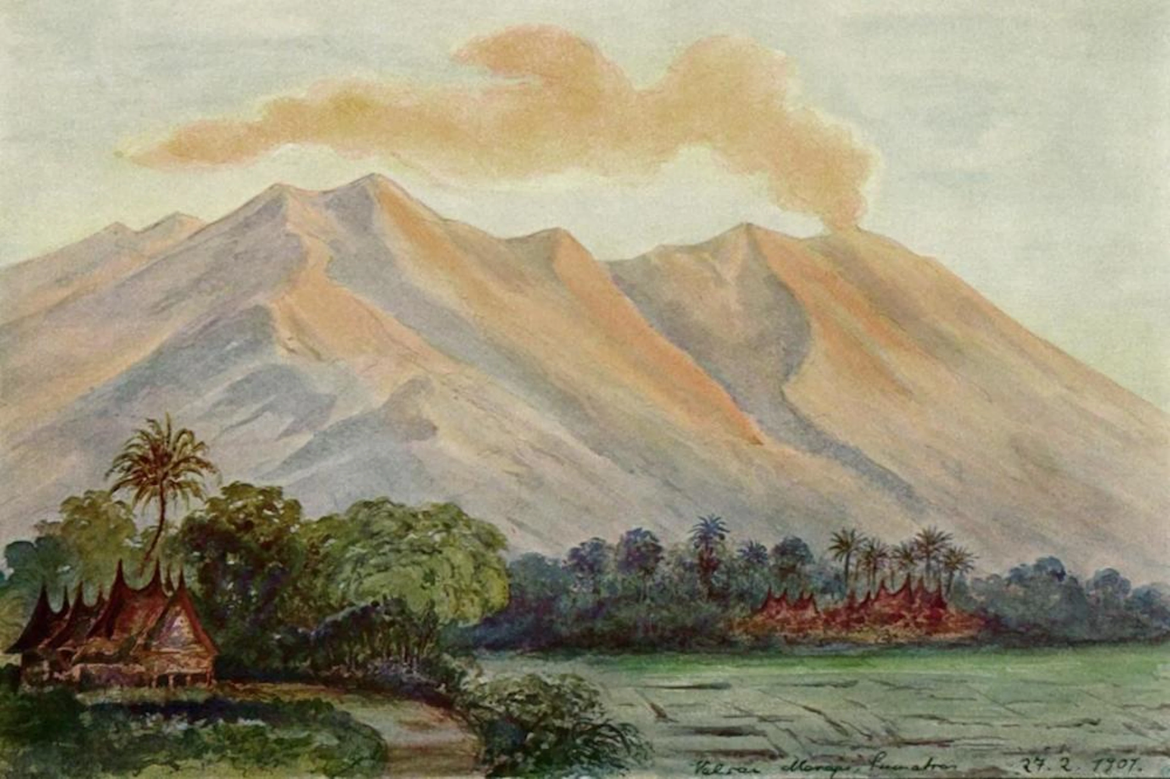 ERNST HAECKEL RIESEN-MYRTE VON CEYLON URWALD VON HORTON-PLAINS