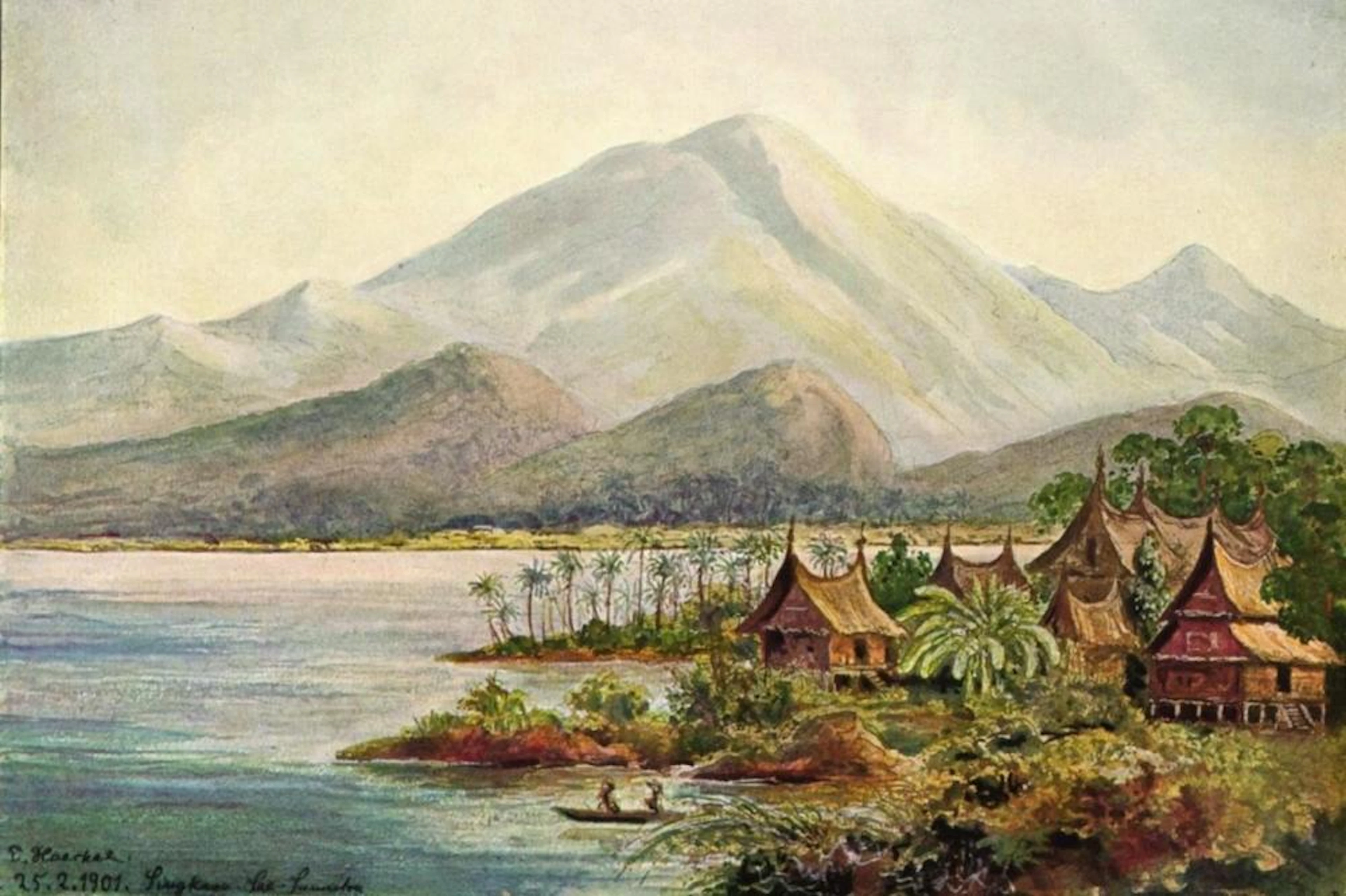 ERNST HAECKEL SINGKARA-SEE, PADANGER HOCHLAND, SUMATRA
