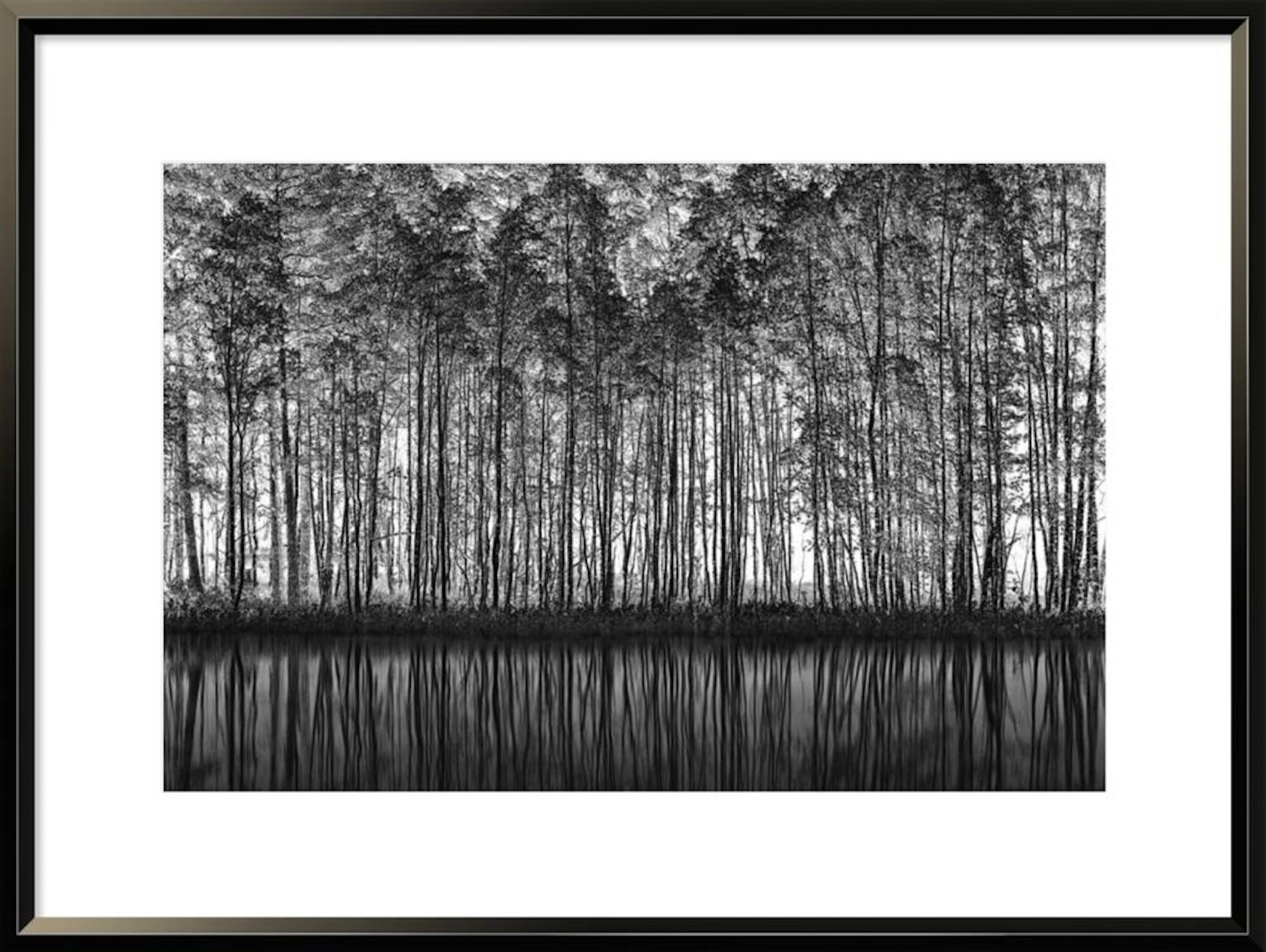 ROSWITHA SCHLEICHER-SCHWARZ - POINTILLISM NATURE