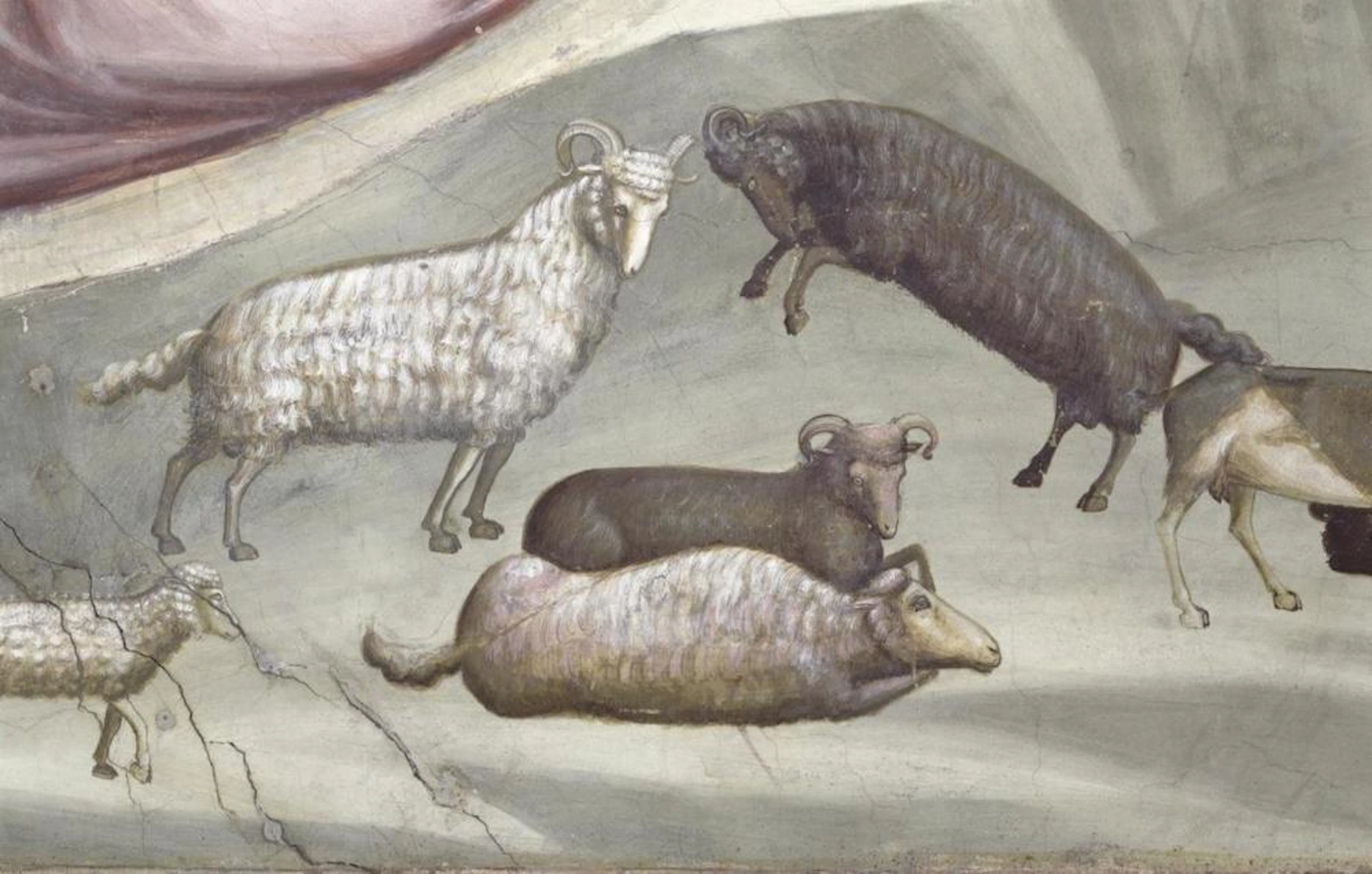 GIOTTO - JOACHIM'S SACRIFICE - DETAIL