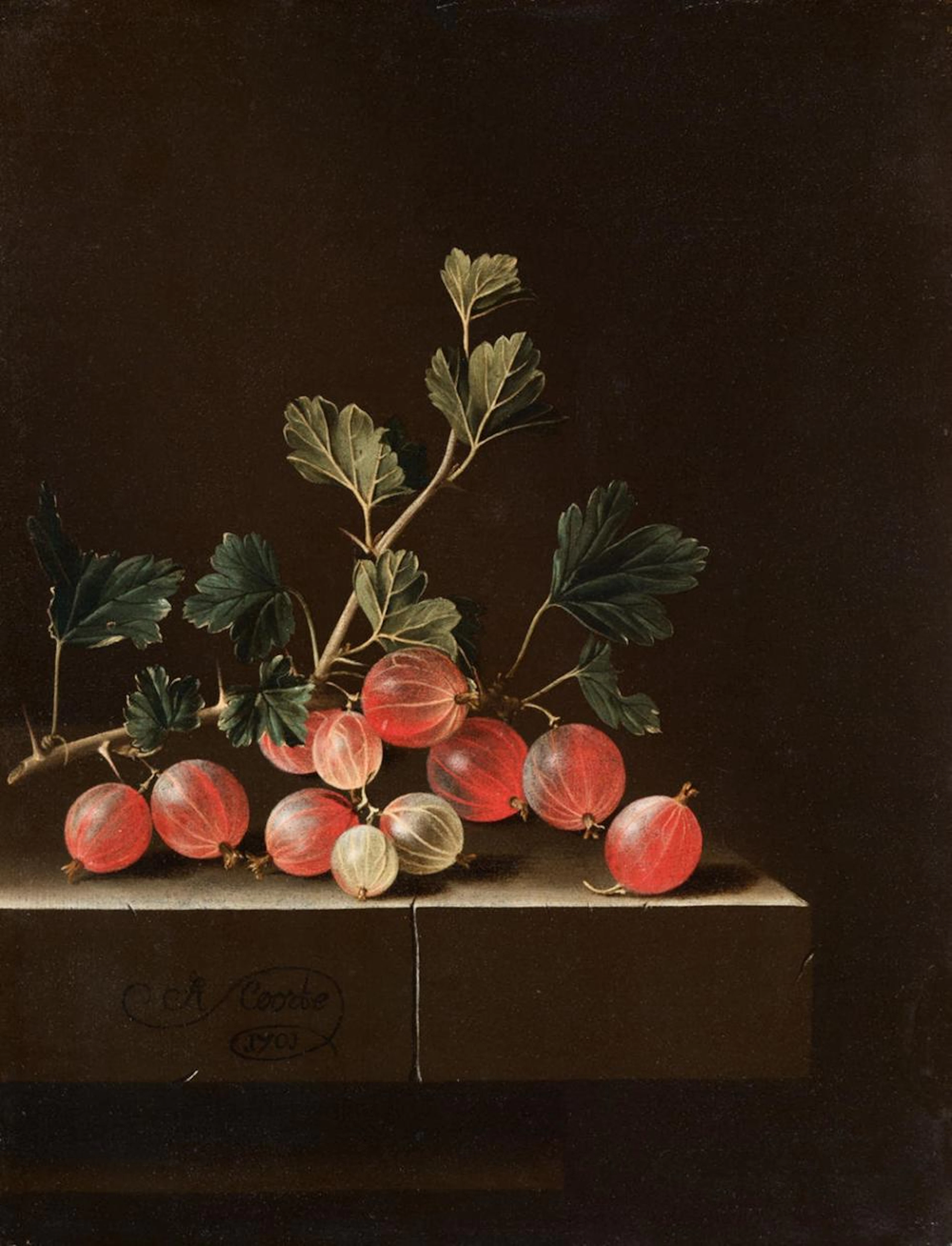 ADRIAEN COORTE - GOOSEBERRIES ON A TABLE, 1701