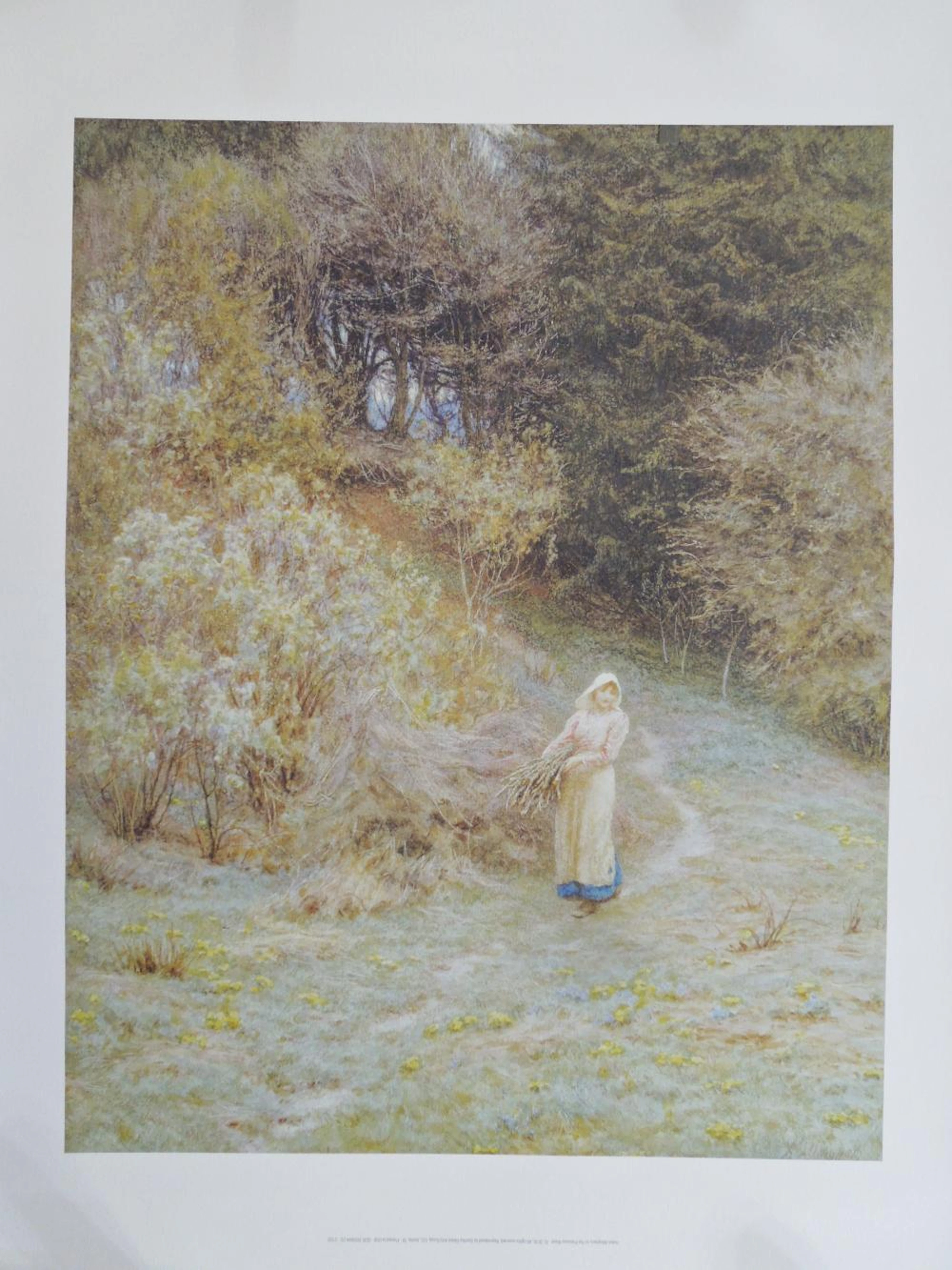 Helen Allingham In The Primrose Wood