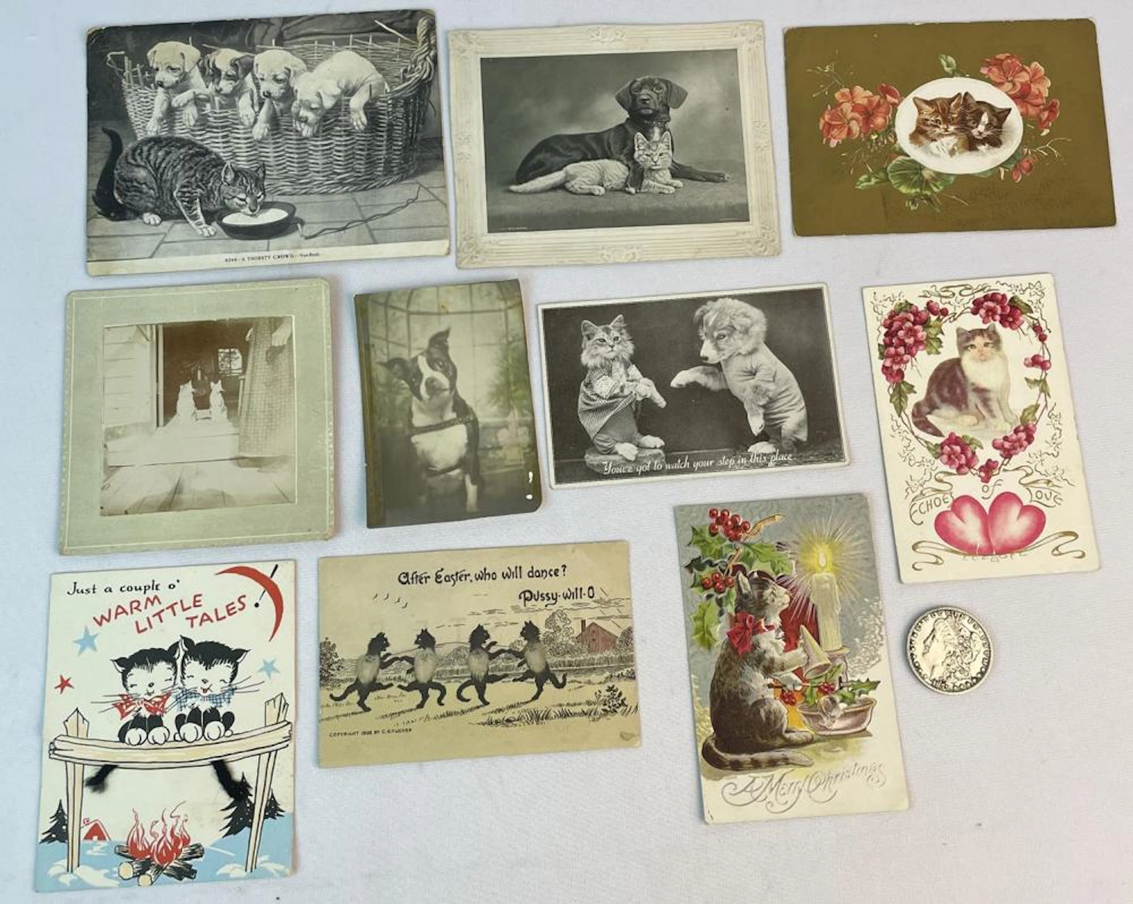 Lot of 10 Vintage / Antique Dog & Cat Ephemera Pieces (Post Cards, Photos, Etc.)