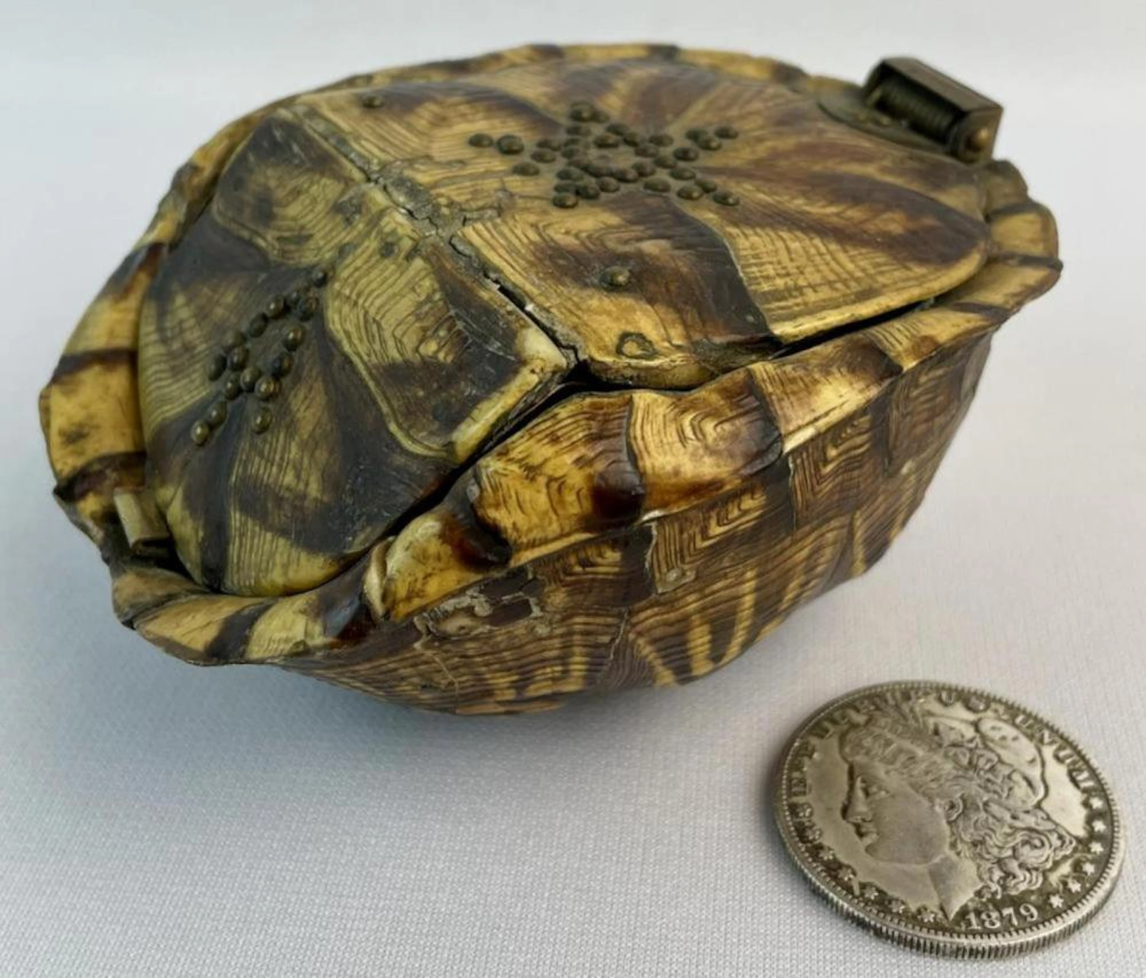 RARE Antique Tortoise Carapace / Shell Brass Decorated...