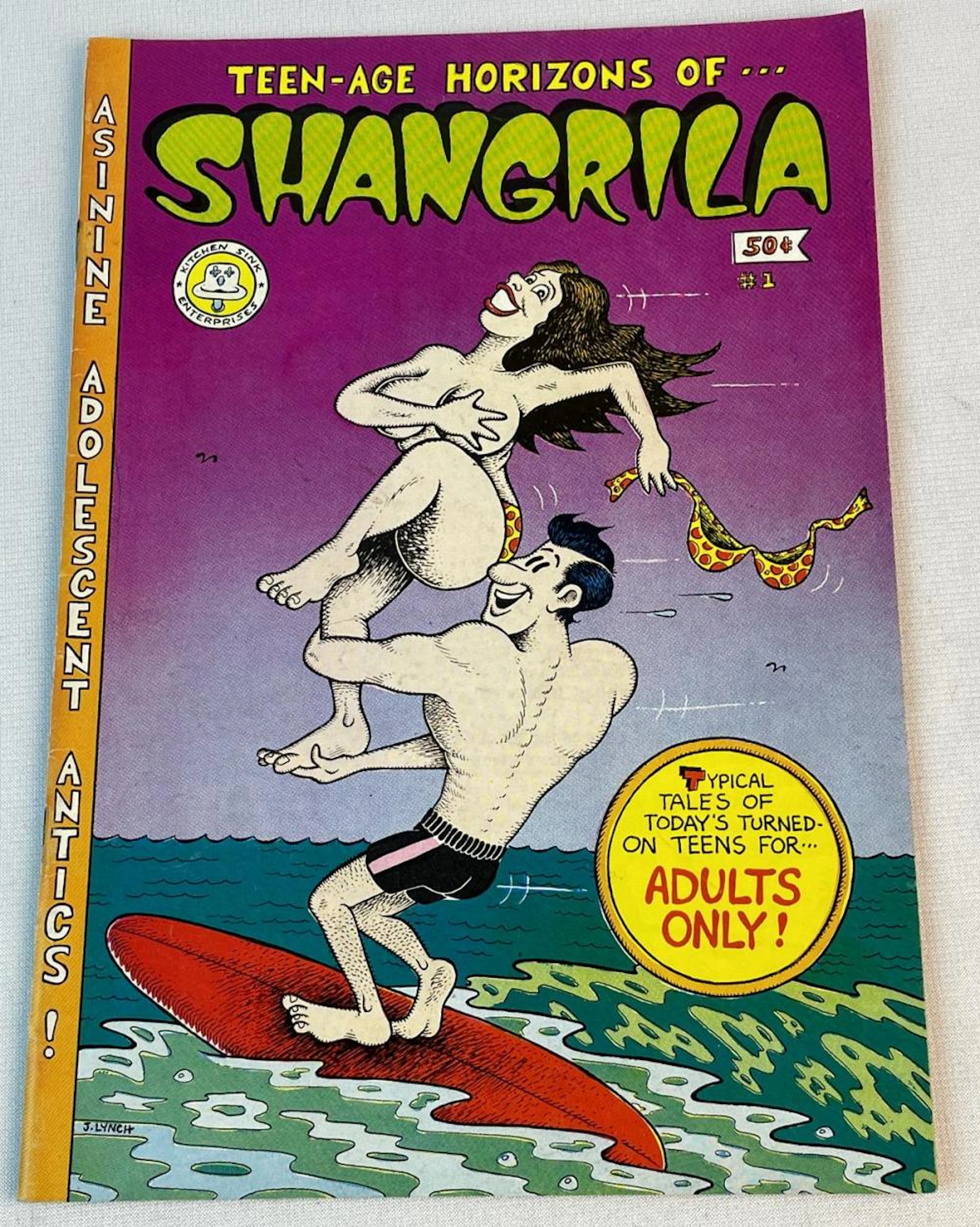 Vintage 1972 Teen-Age Horizons of Shangrila No