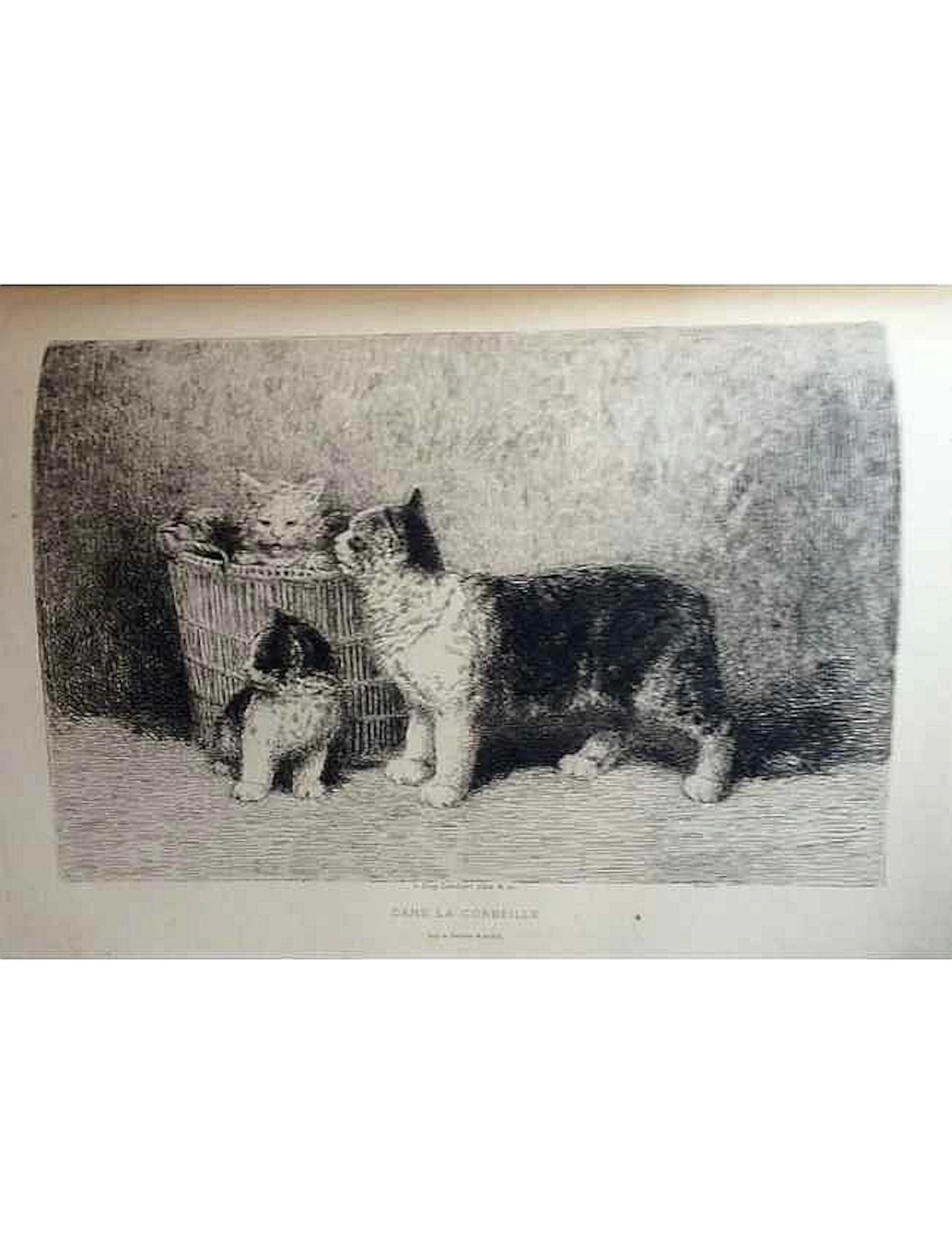 G. de CHERVILLE - Les chiens et les chats d'Eugène LAMB