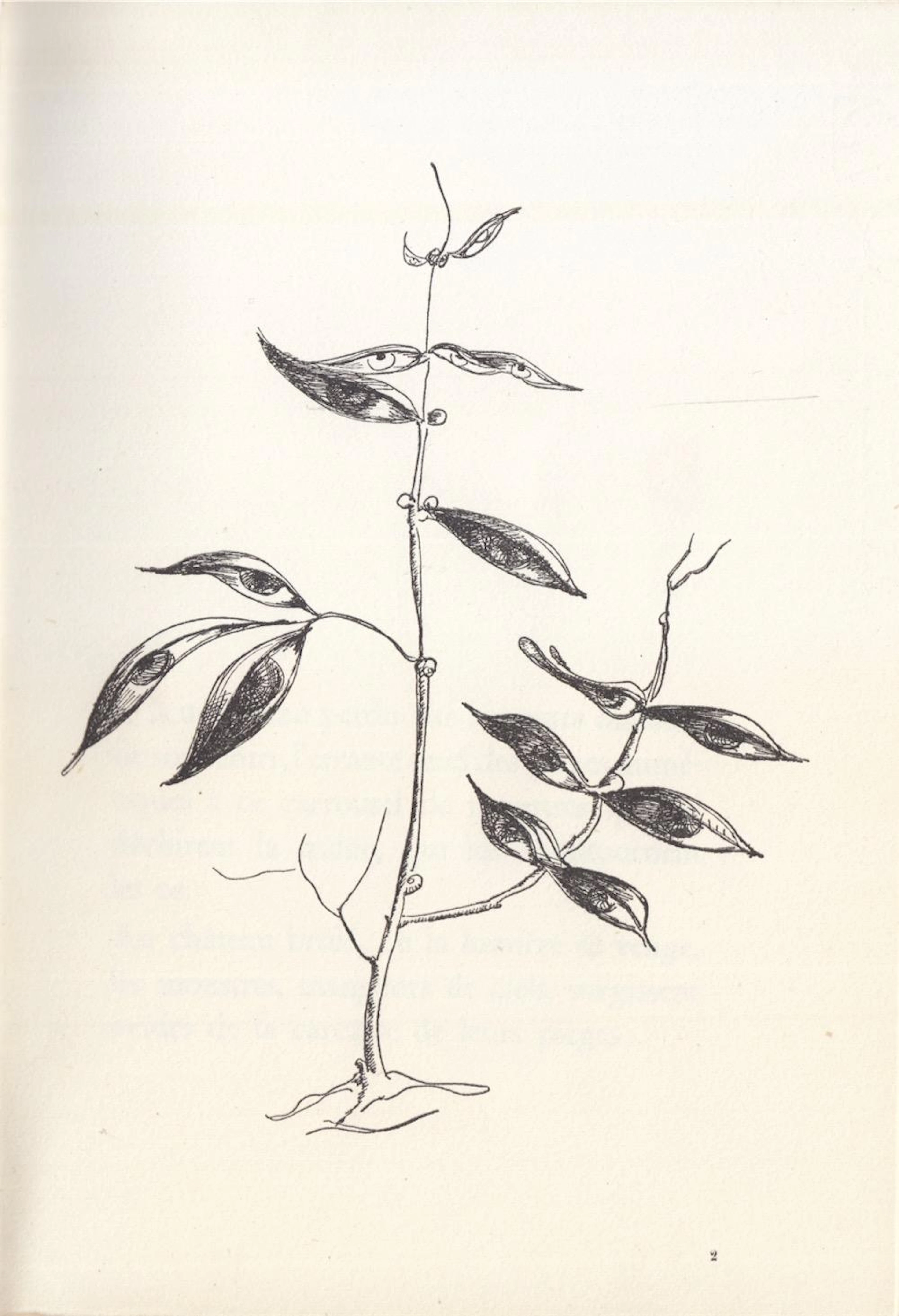 Paul COLINET / LOUIS SCUTENAIRE / HENRI MICHAUX... - Lo