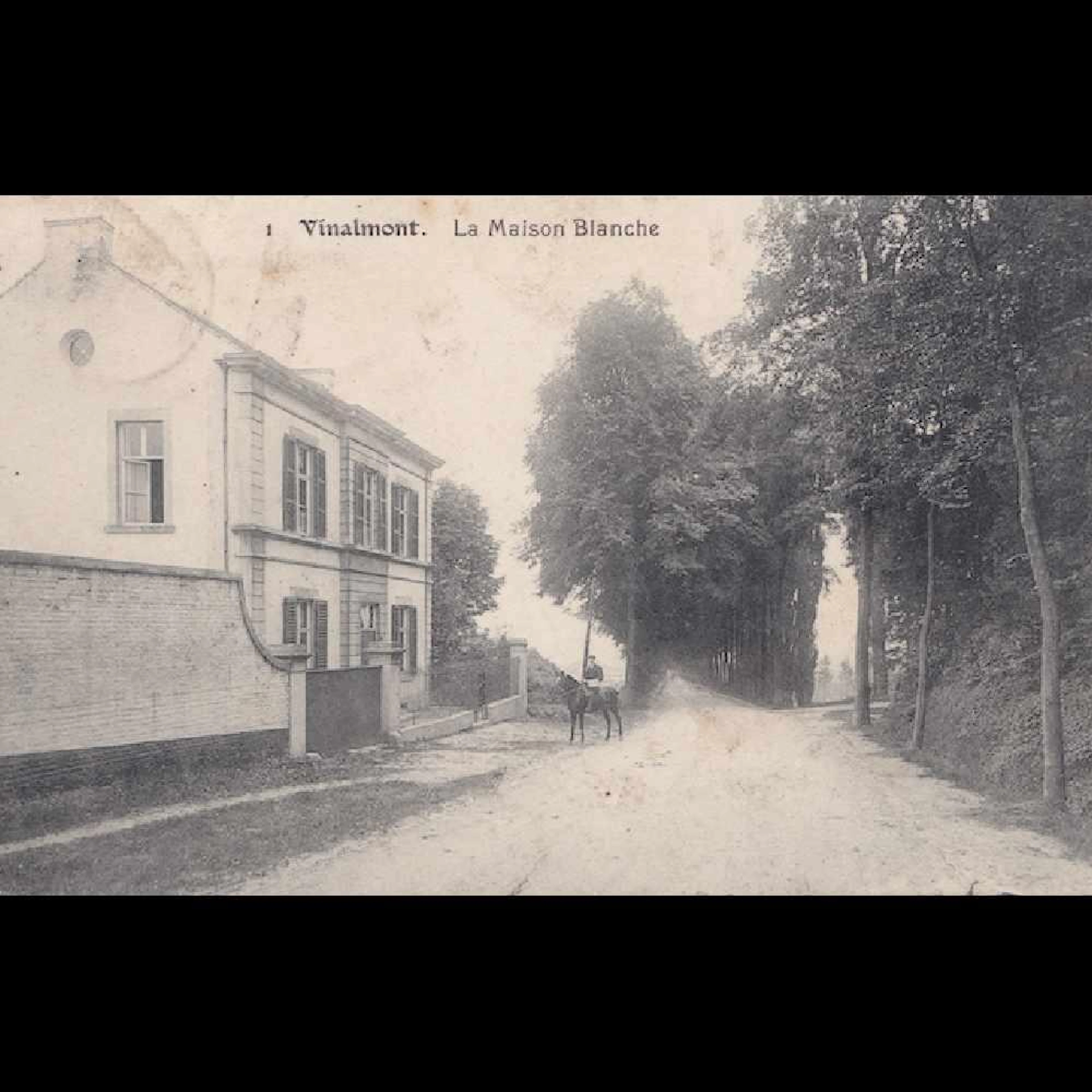VINALMONT & WAUSOUL (1). Ensemble 8 cartes postales aya