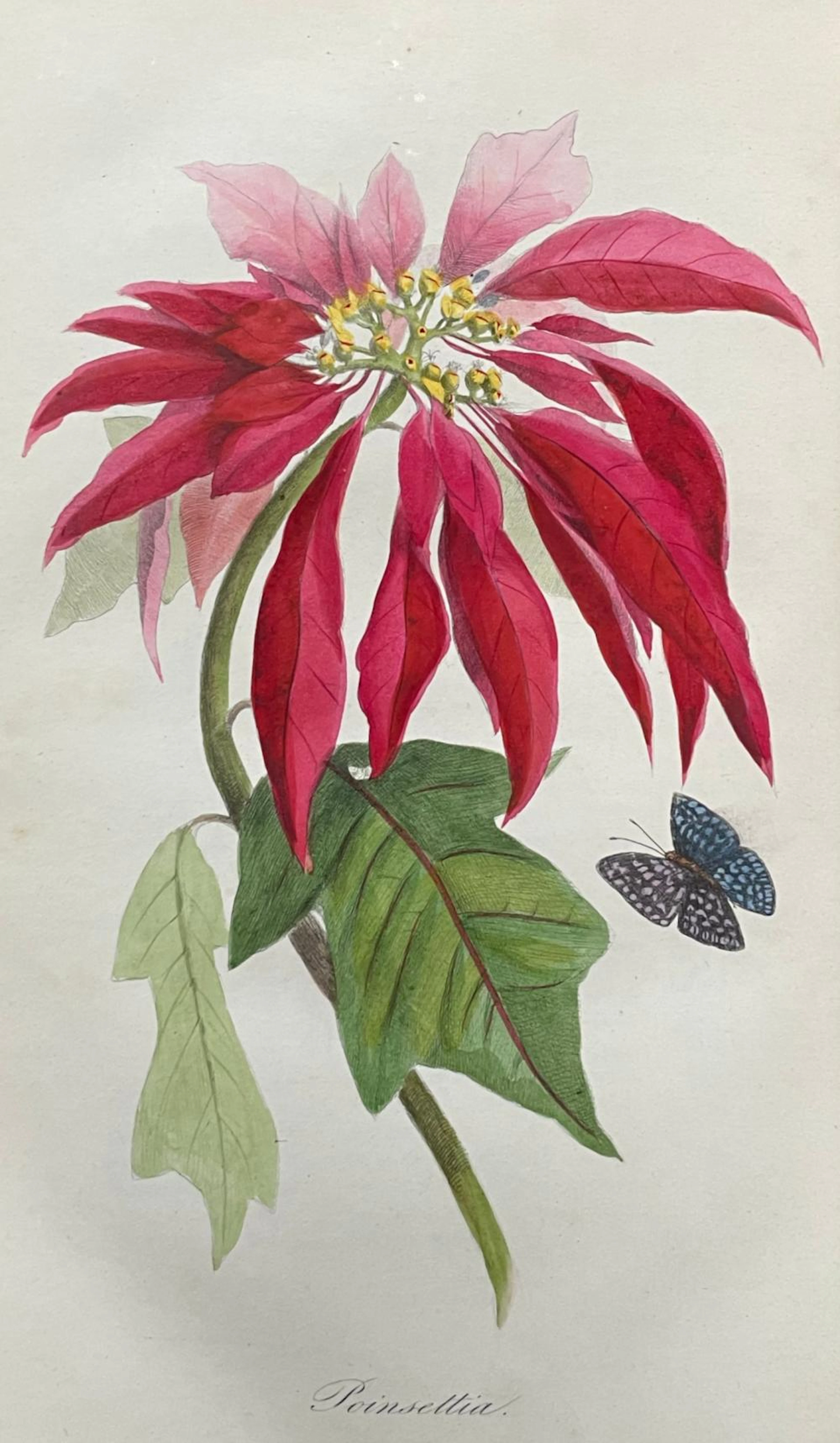 BERNARD (PIERRE), E.A.